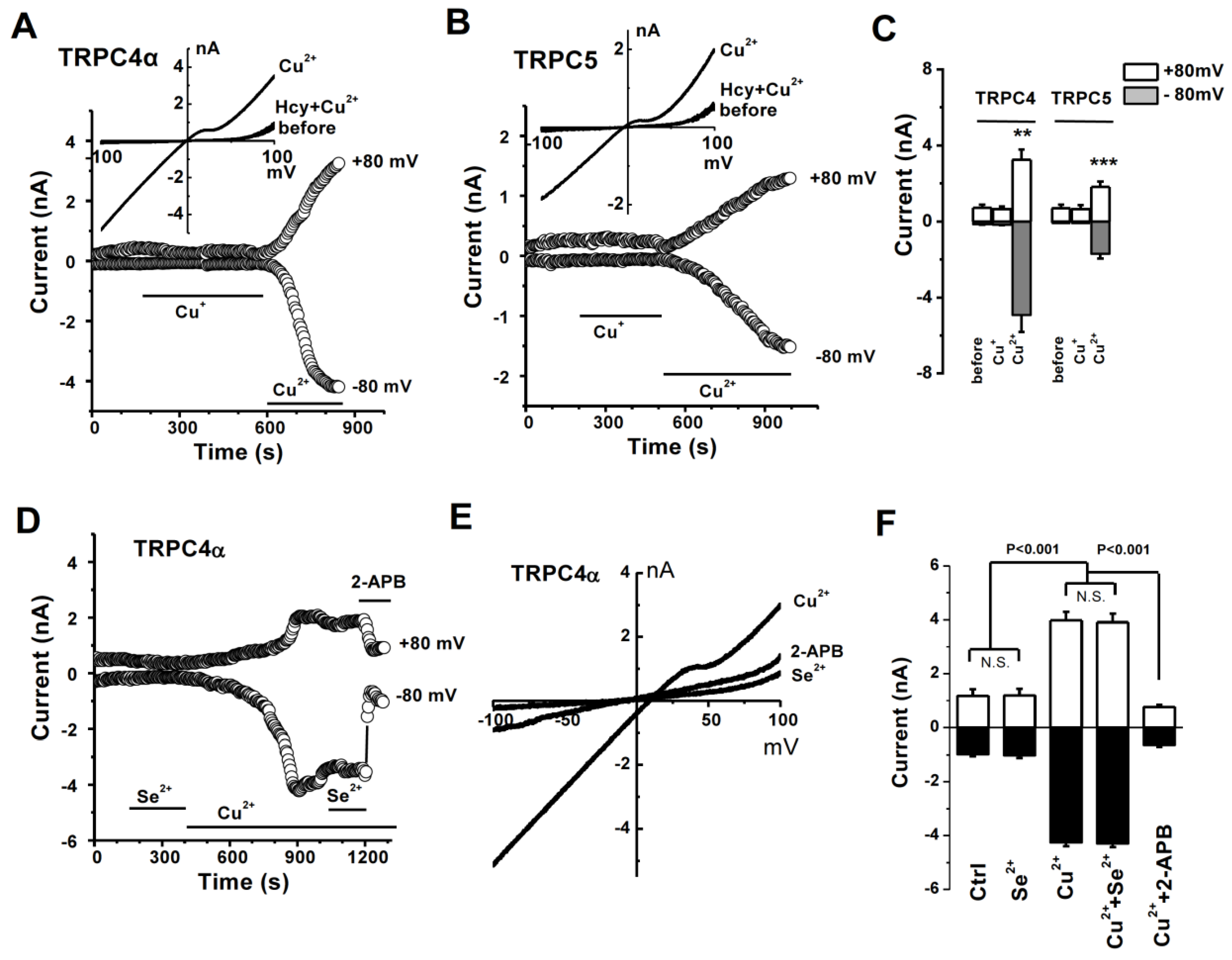 Biomolecules 13 00952 g004 Biomolecules 13 00952 g004