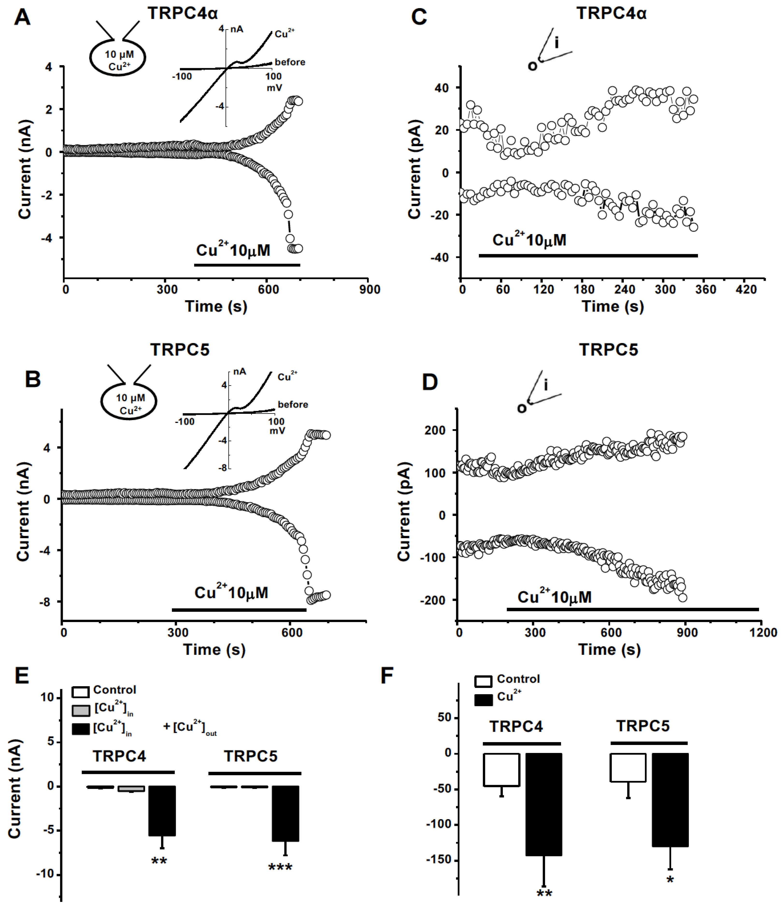Biomolecules 13 00952 g005 Biomolecules 13 00952 g005