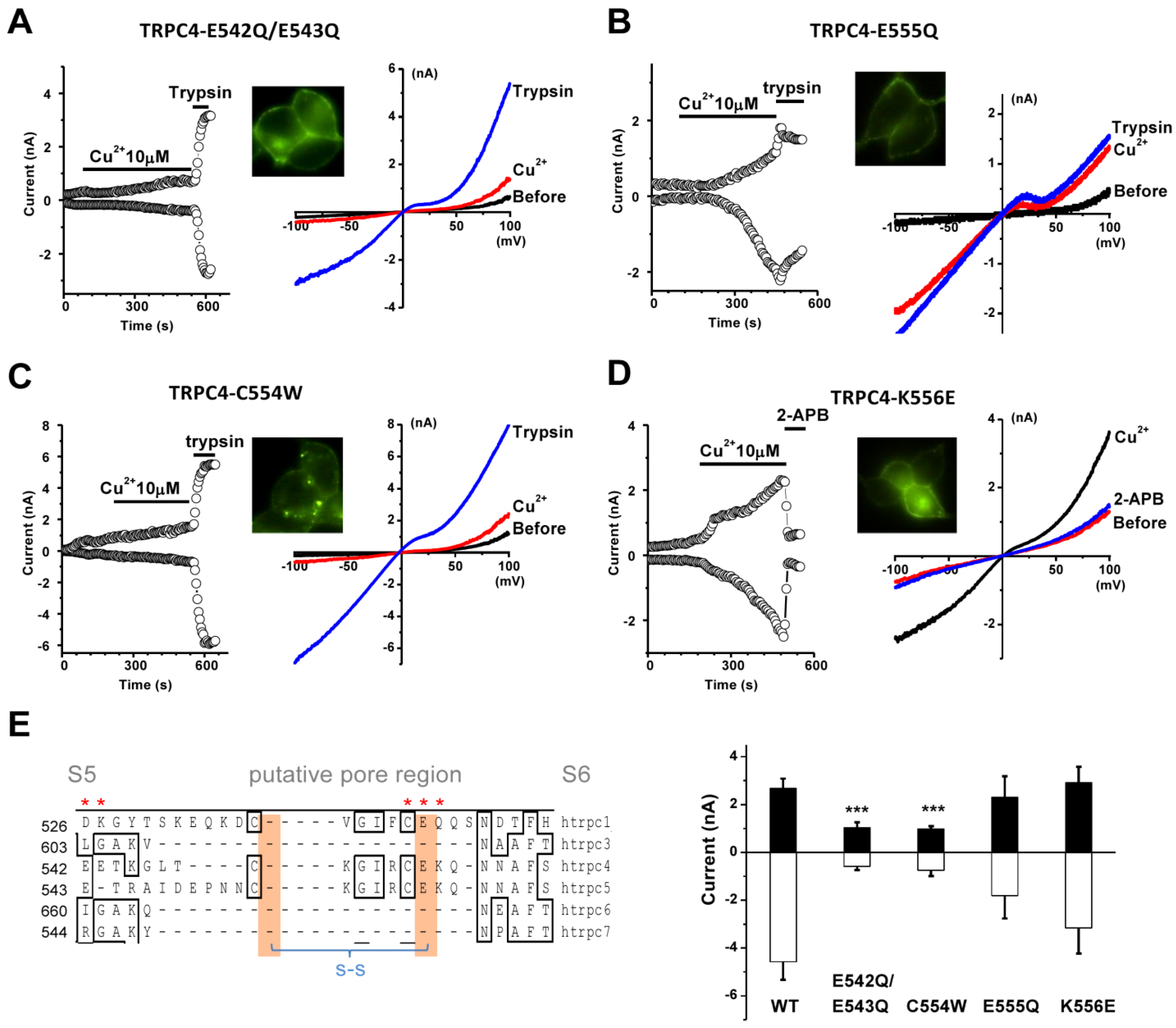 Biomolecules 13 00952 g006 Biomolecules 13 00952 g006