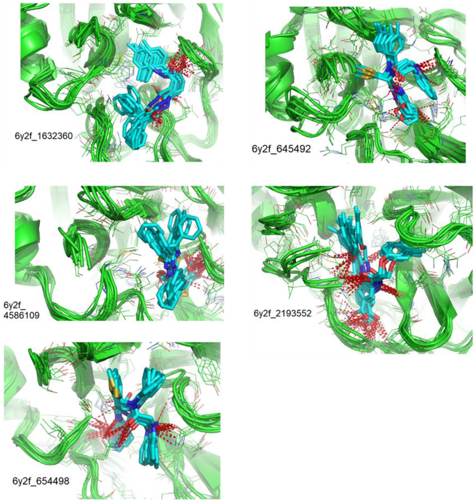 Biomolecules 13 00956 g007 Biomolecules 13 00956 g007