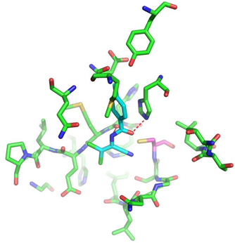 Biomolecules 13 00956 i002 Biomolecules 13 00956 i002