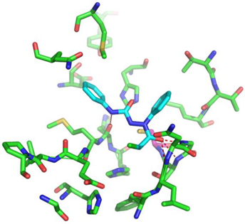 Biomolecules 13 00956 i006 Biomolecules 13 00956 i006