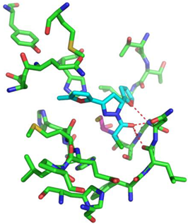 Biomolecules 13 00956 i008 Biomolecules 13 00956 i008