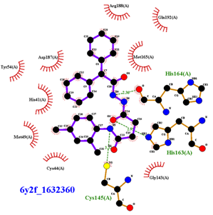 Biomolecules 13 00956 i009 Biomolecules 13 00956 i009