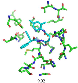 Biomolecules 13 00956 i010 Biomolecules 13 00956 i010