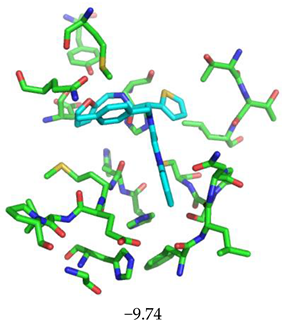 Biomolecules 13 00956 i012 Biomolecules 13 00956 i012