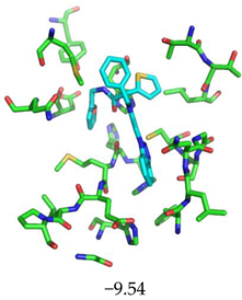 Biomolecules 13 00956 i018 Biomolecules 13 00956 i018