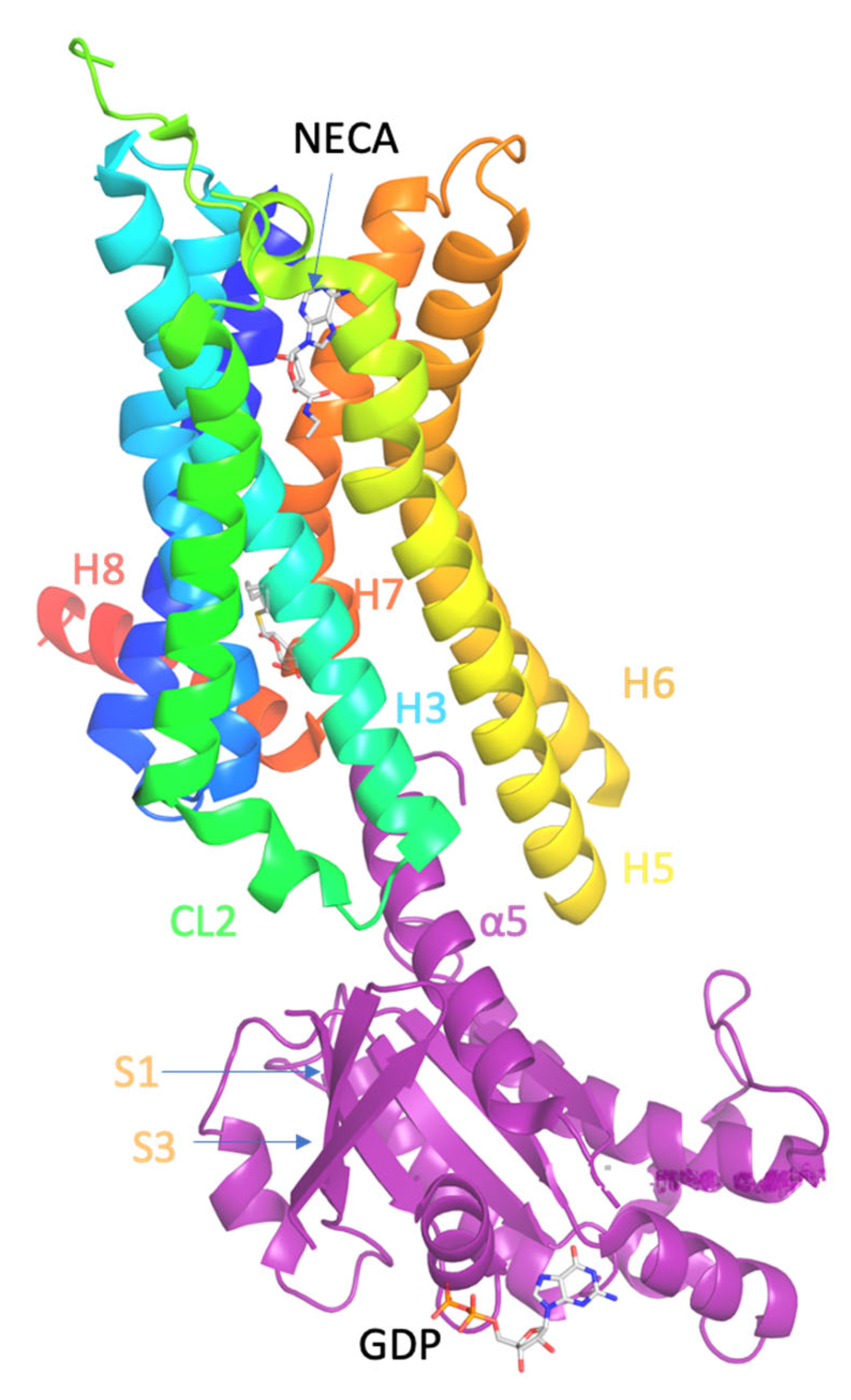 Biomolecules, Free Full-Text