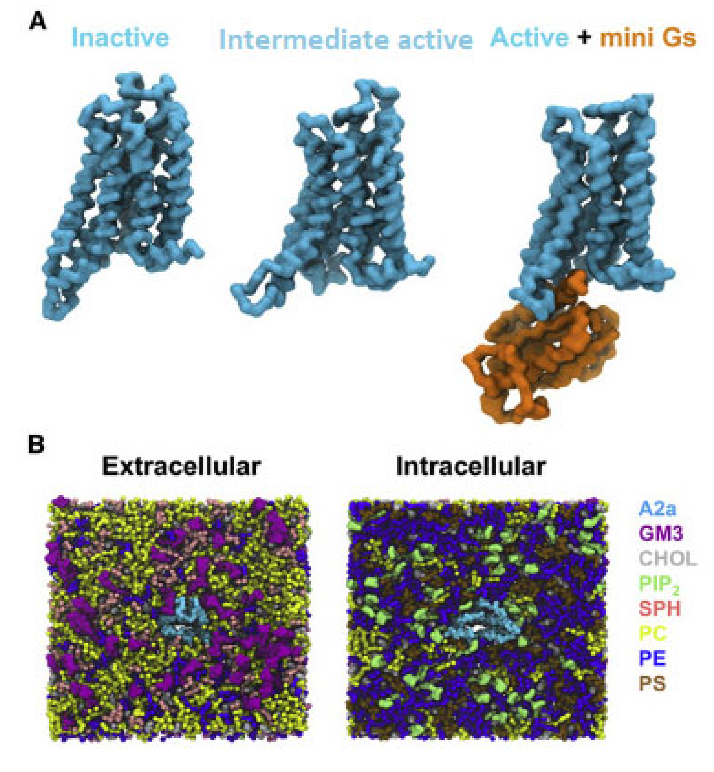 Biomolecules 13 00957 g003