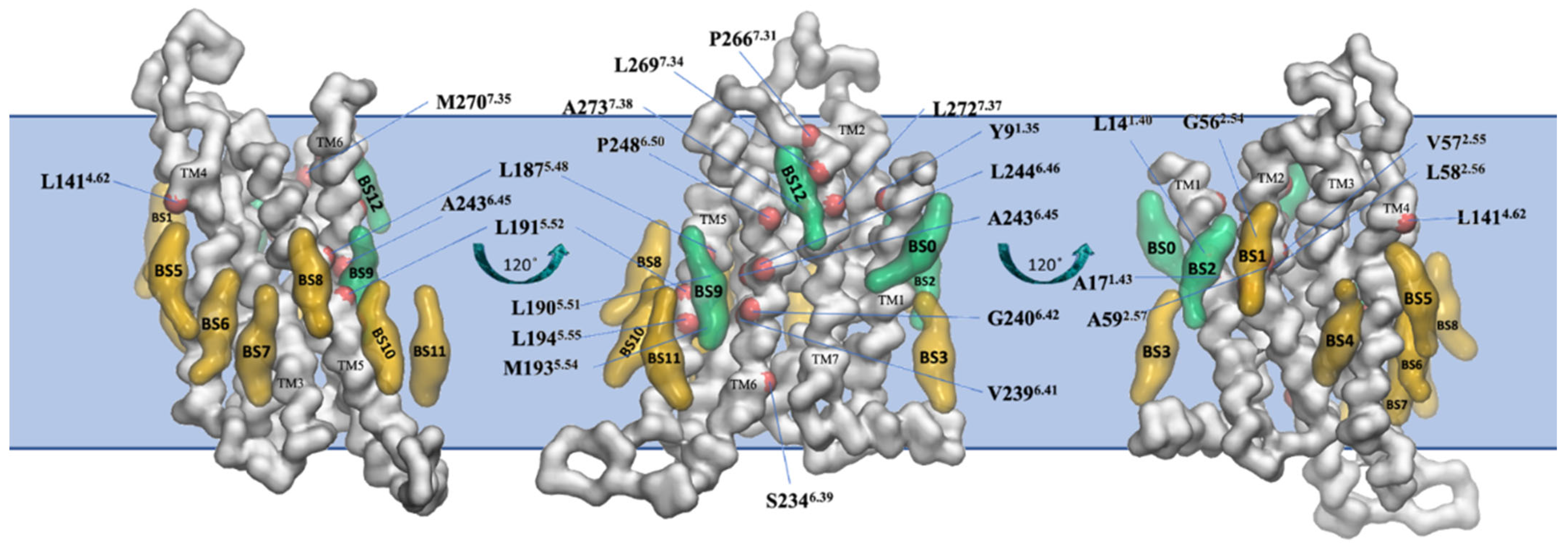 Biomolecules 13 00957 g006