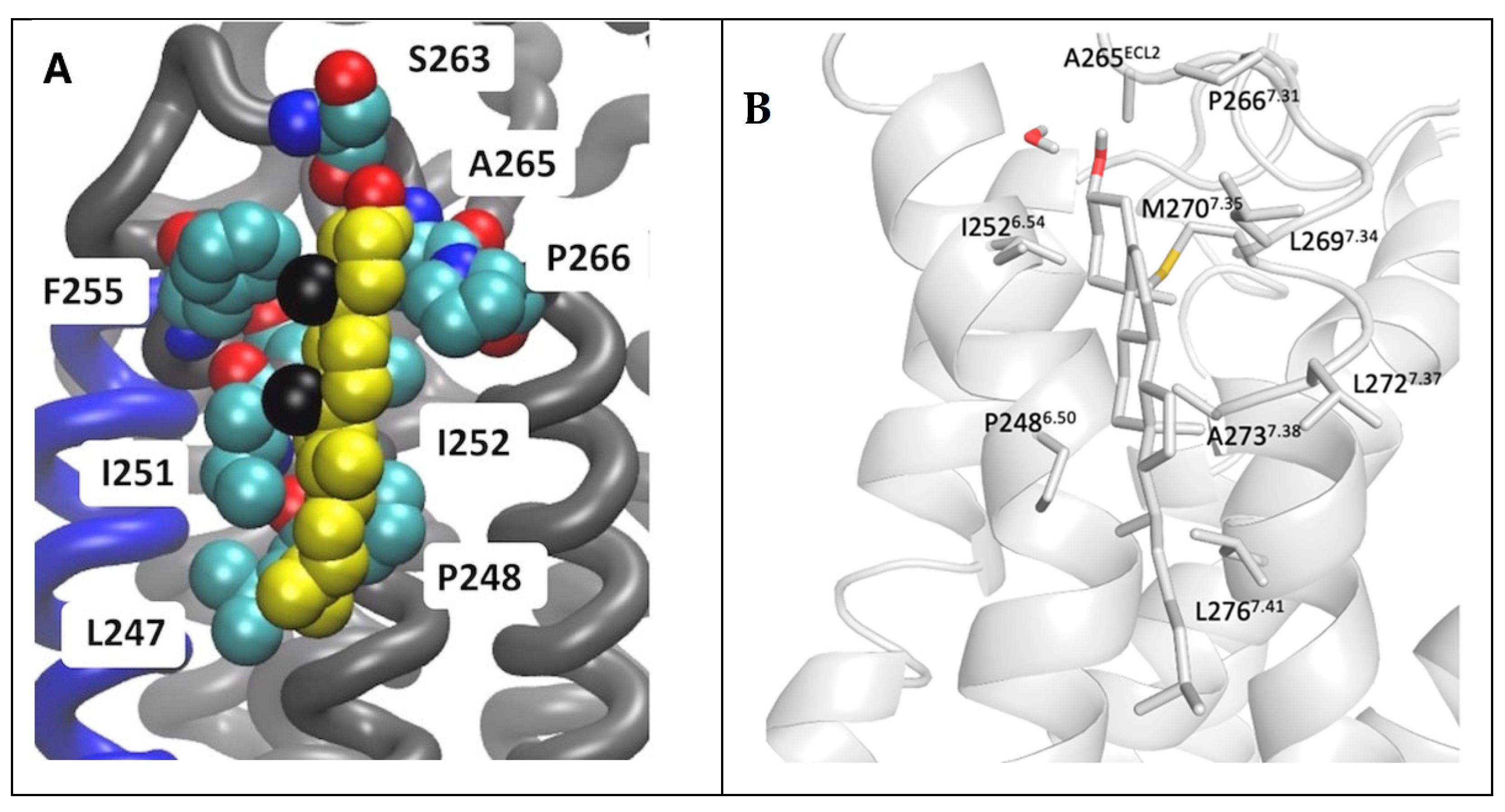 Biomolecules 13 00957 g007