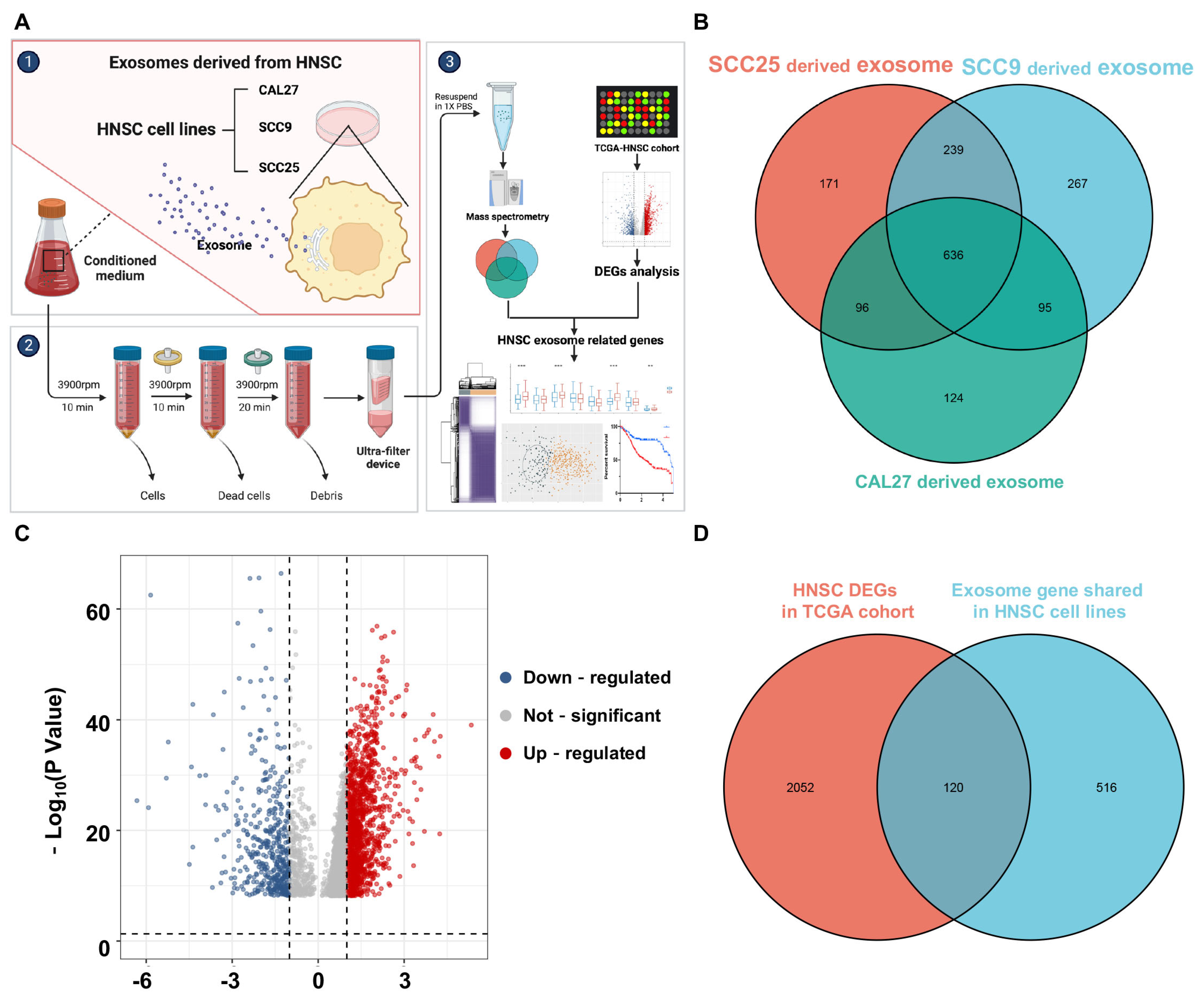 Biomolecules 13 00958 g001 Biomolecules 13 00958 g001