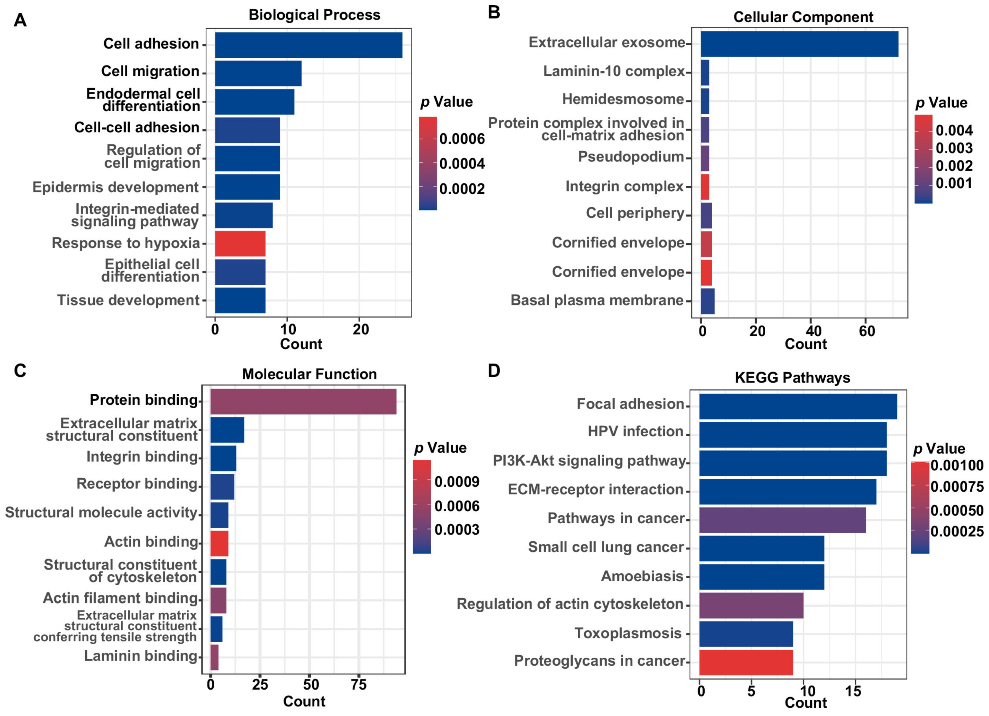 Biomolecules 13 00958 g002 Biomolecules 13 00958 g002