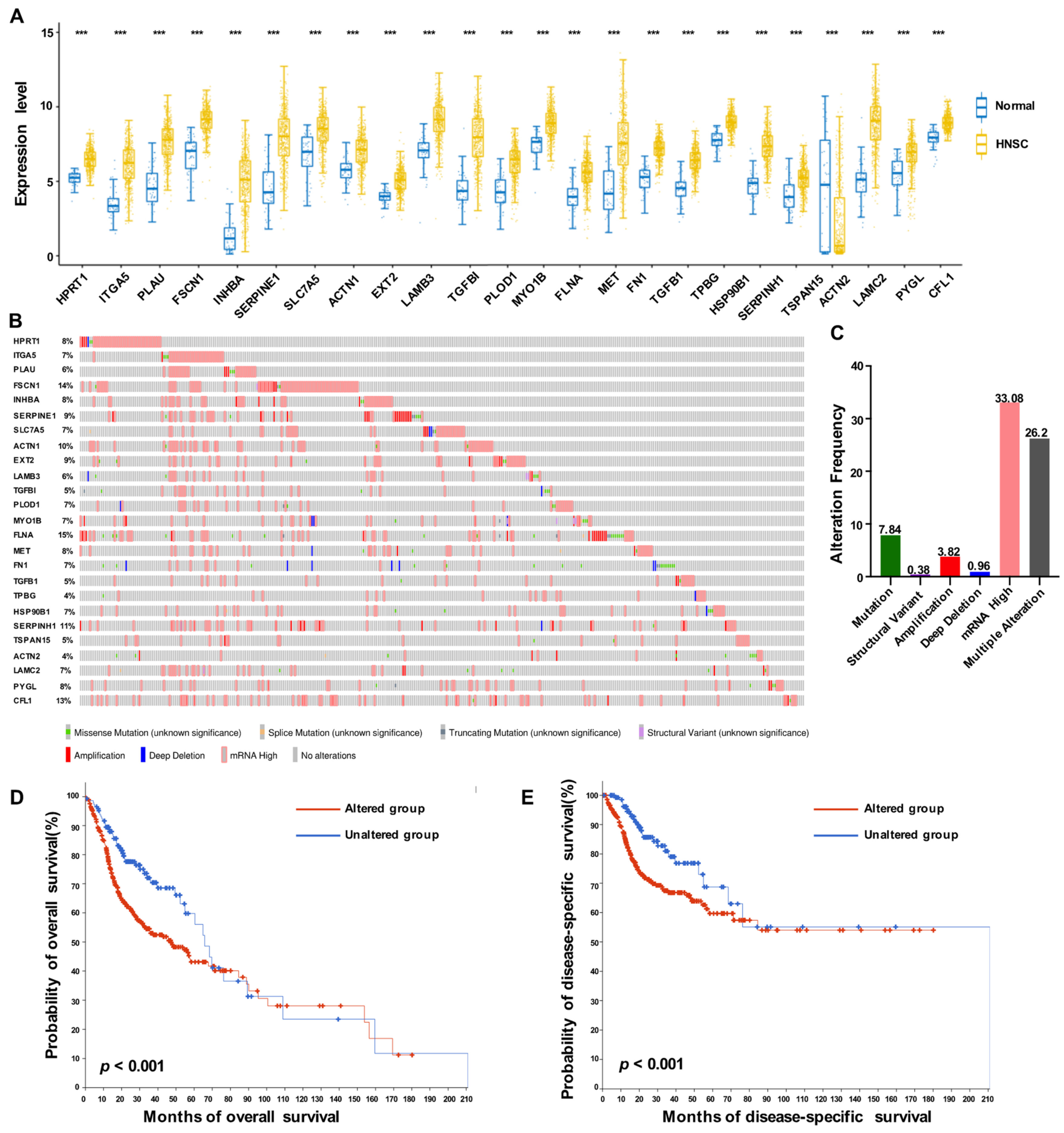 Biomolecules 13 00958 g004 Biomolecules 13 00958 g004
