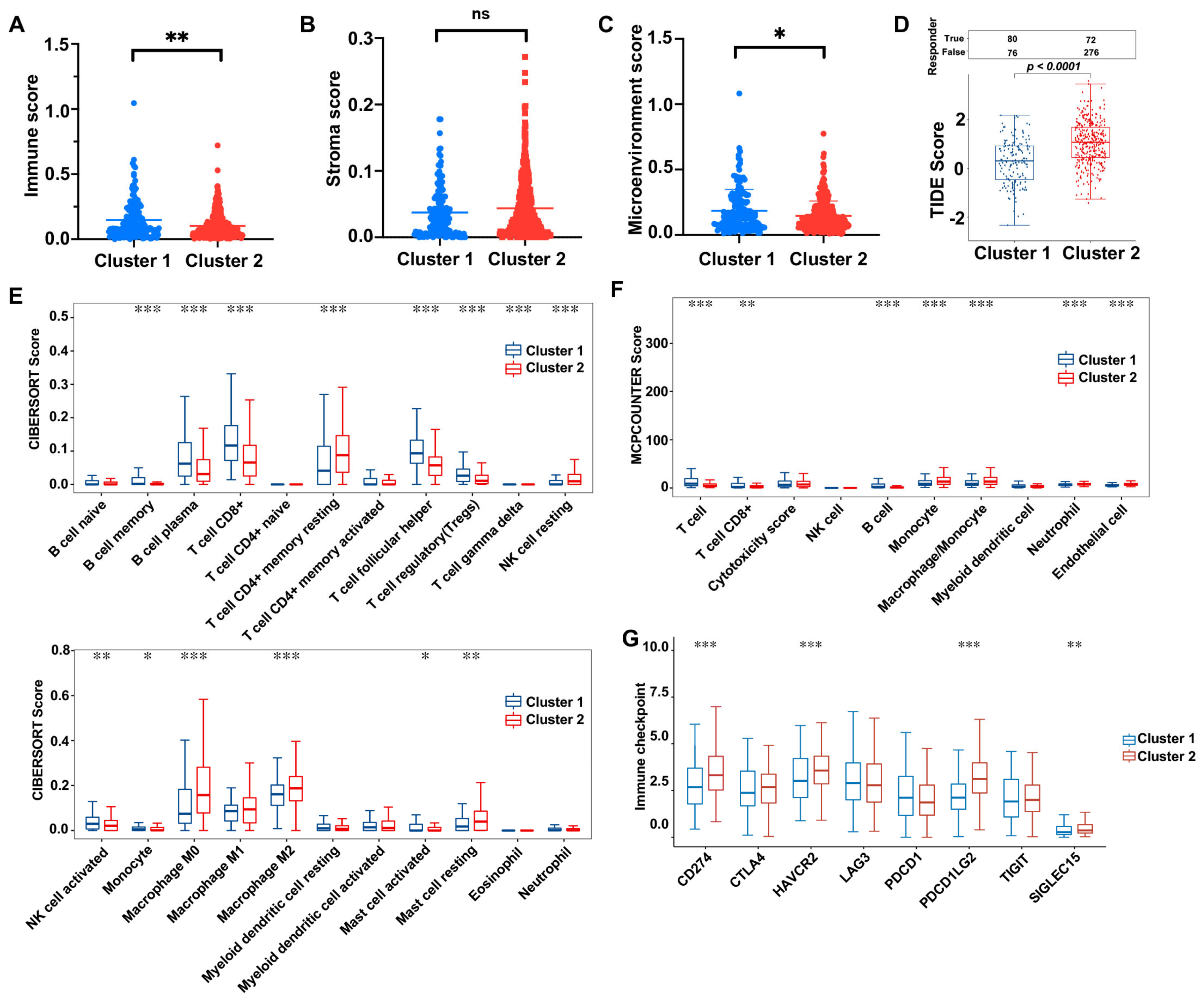 Biomolecules 13 00958 g006 Biomolecules 13 00958 g006