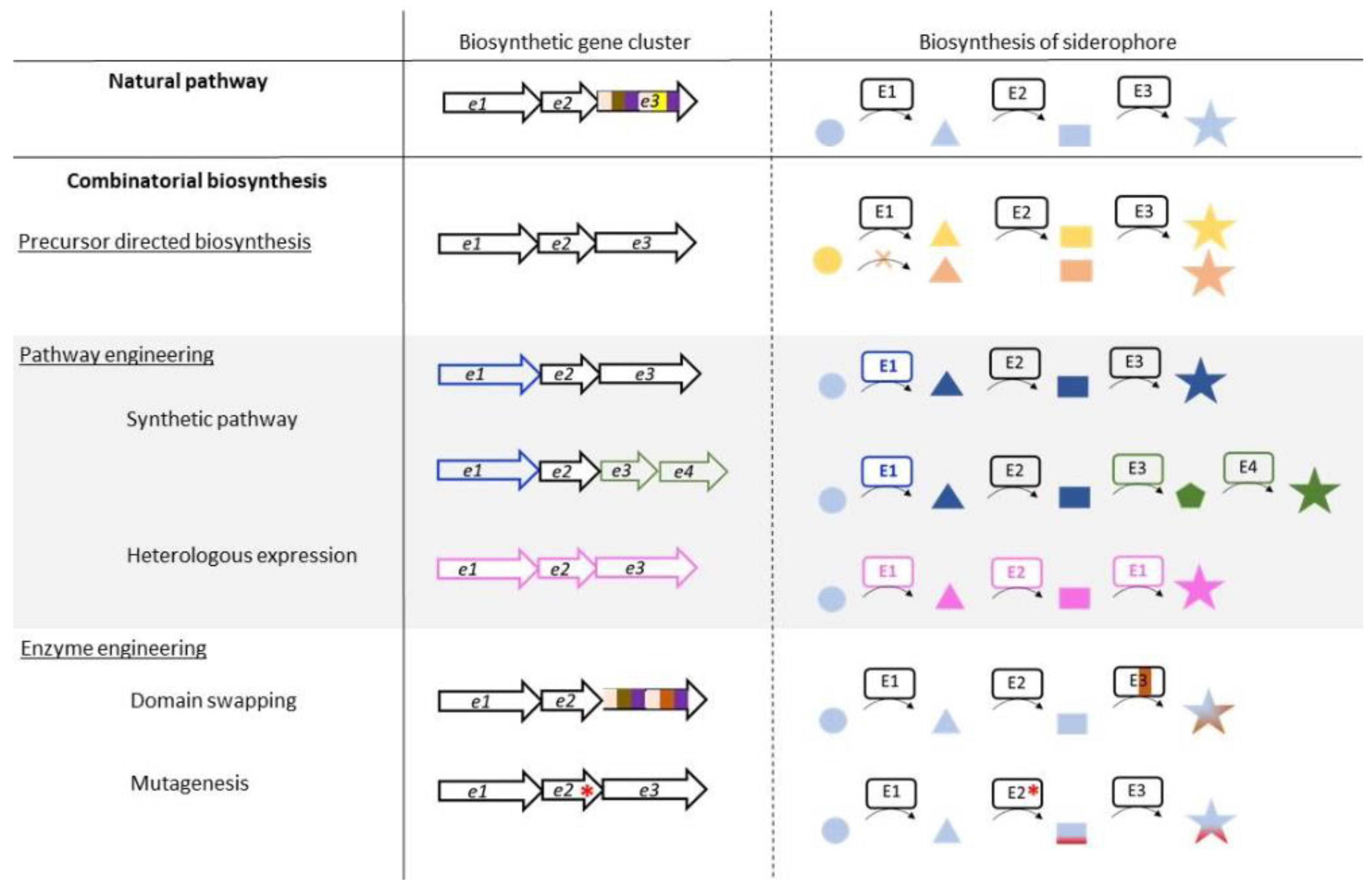 Biomolecules 13 00959 g001 Biomolecules 13 00959 g001