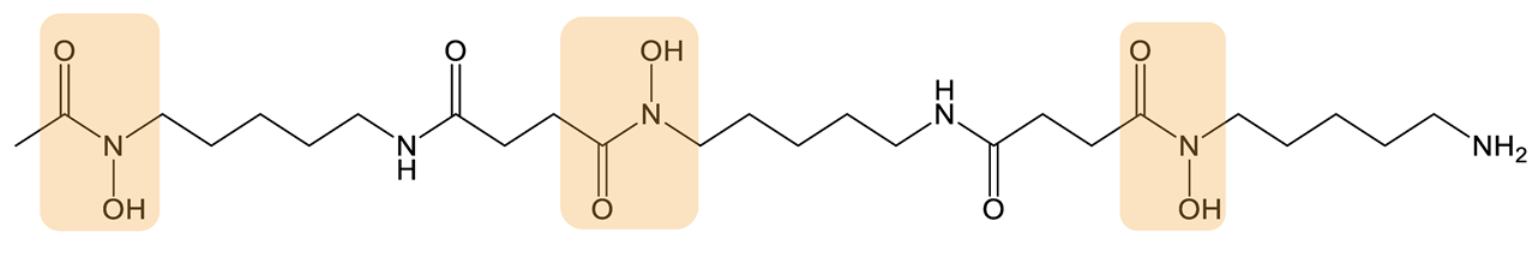 Biomolecules 13 00959 i003 Biomolecules 13 00959 i003