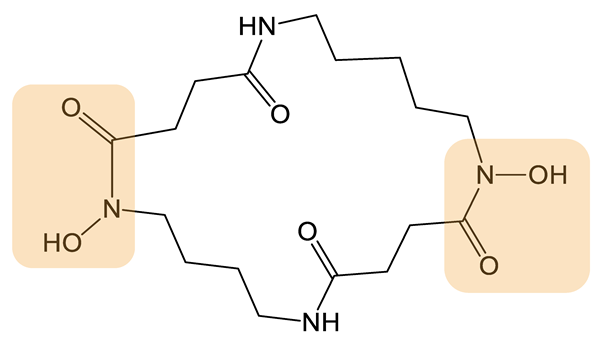 Biomolecules 13 00959 i006 Biomolecules 13 00959 i006
