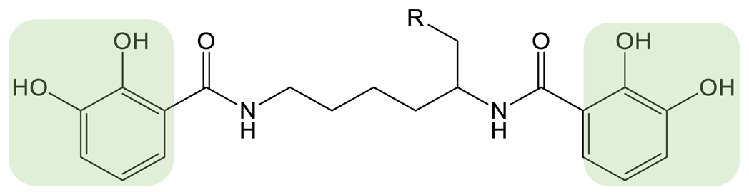Biomolecules 13 00959 i008 Biomolecules 13 00959 i008