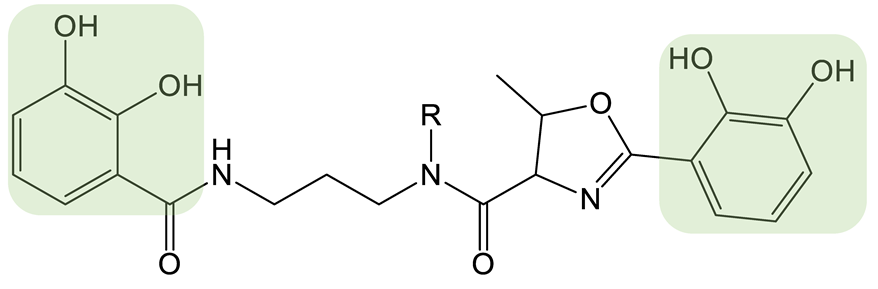 Biomolecules 13 00959 i014 Biomolecules 13 00959 i014