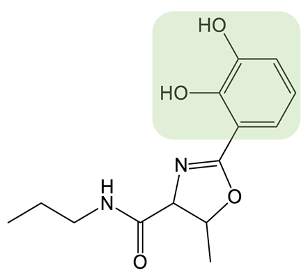 Biomolecules 13 00959 i015 Biomolecules 13 00959 i015