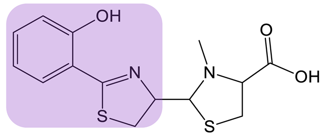 Biomolecules 13 00959 i019 Biomolecules 13 00959 i019