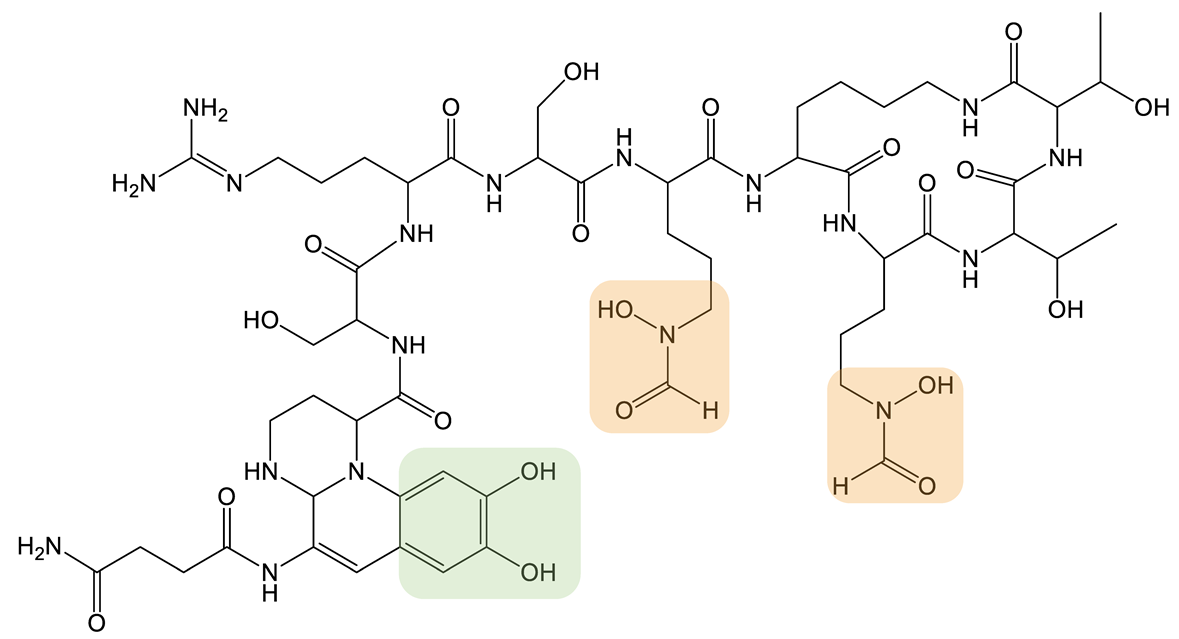 Biomolecules 13 00959 i023 Biomolecules 13 00959 i023