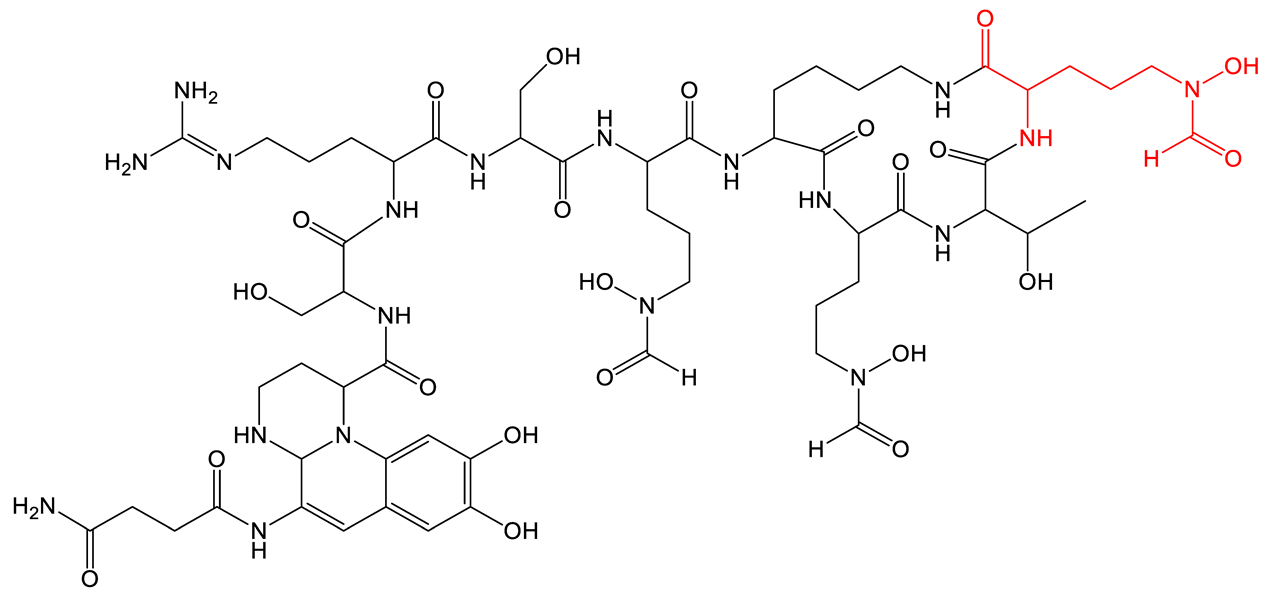 Biomolecules 13 00959 i024 Biomolecules 13 00959 i024