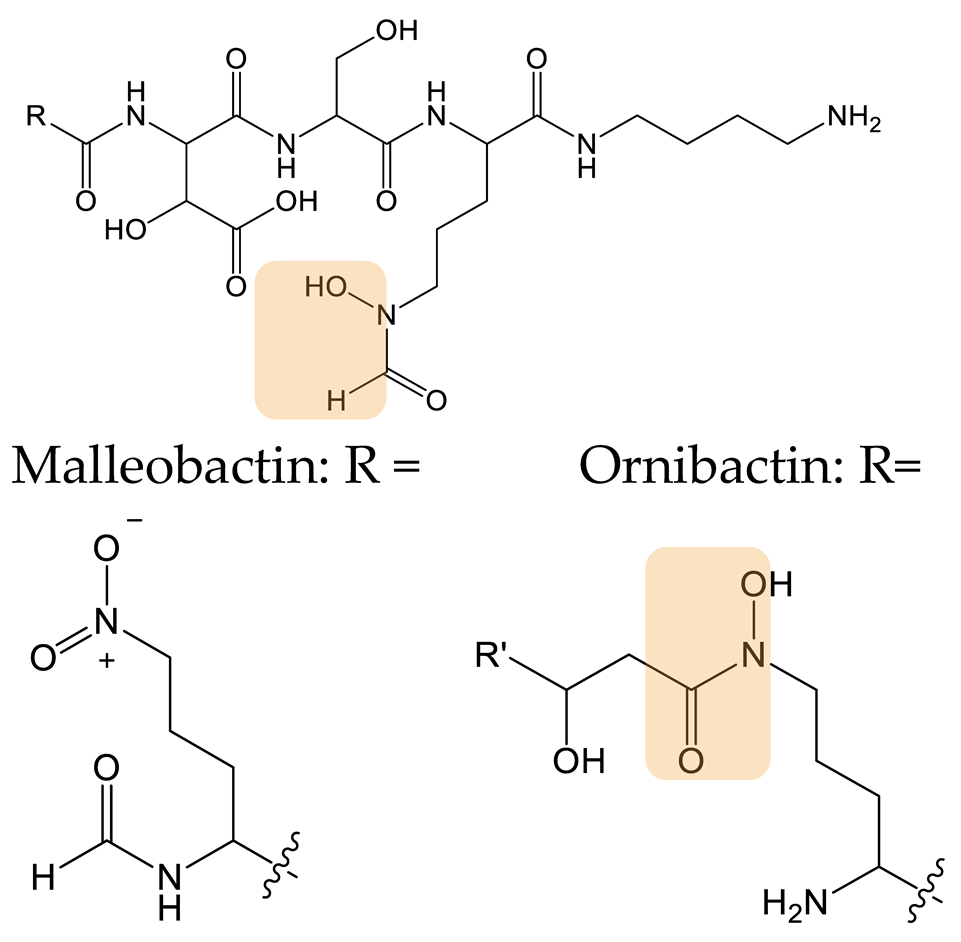 Biomolecules 13 00959 i025 Biomolecules 13 00959 i025