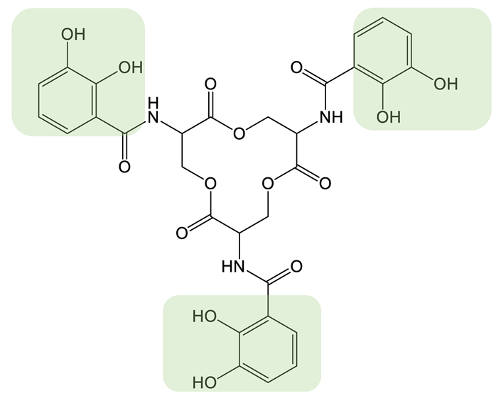 Biomolecules 13 00959 i026 Biomolecules 13 00959 i026