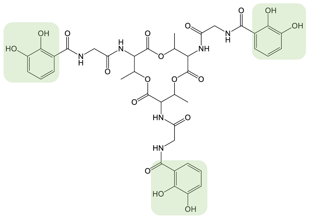 Biomolecules 13 00959 i027 Biomolecules 13 00959 i027