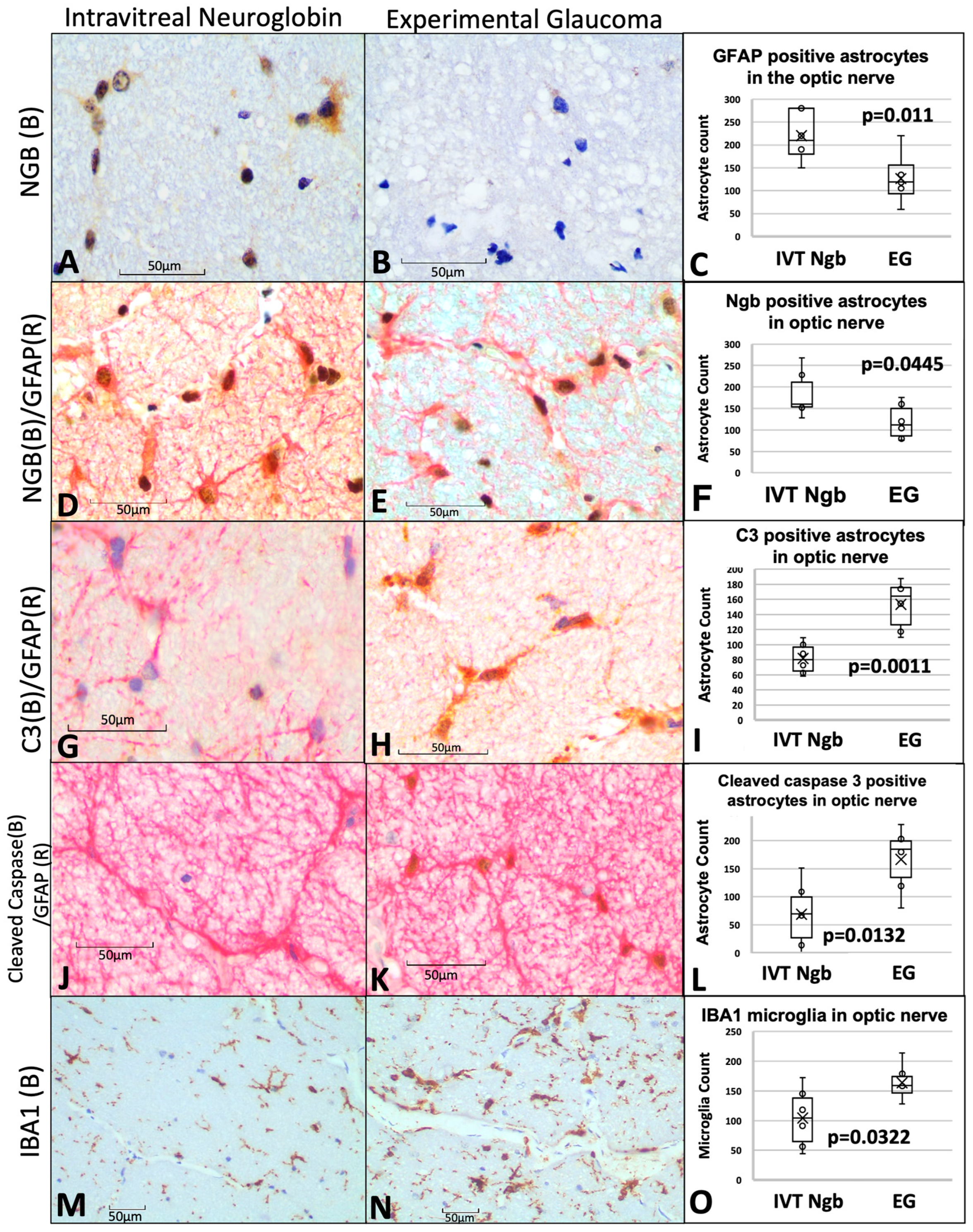 Biomolecules 13 00961 g004 Biomolecules 13 00961 g004