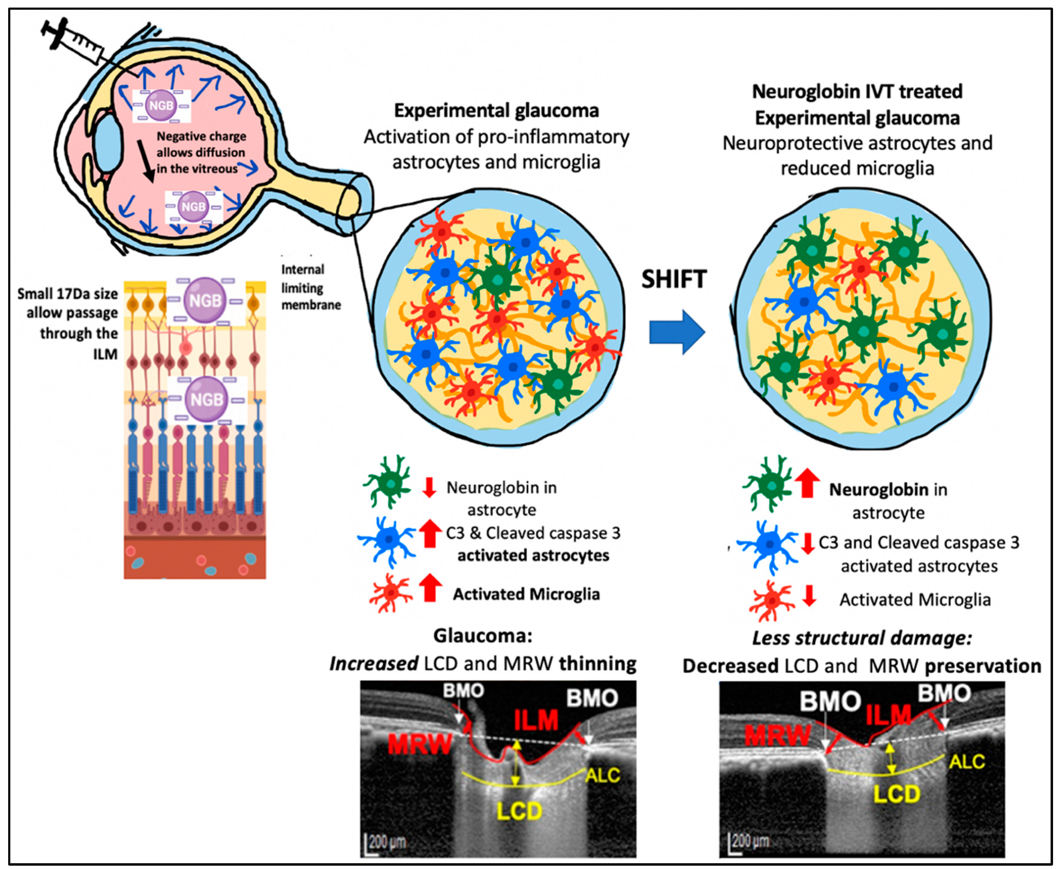 Biomolecules 13 00961 g005 Biomolecules 13 00961 g005
