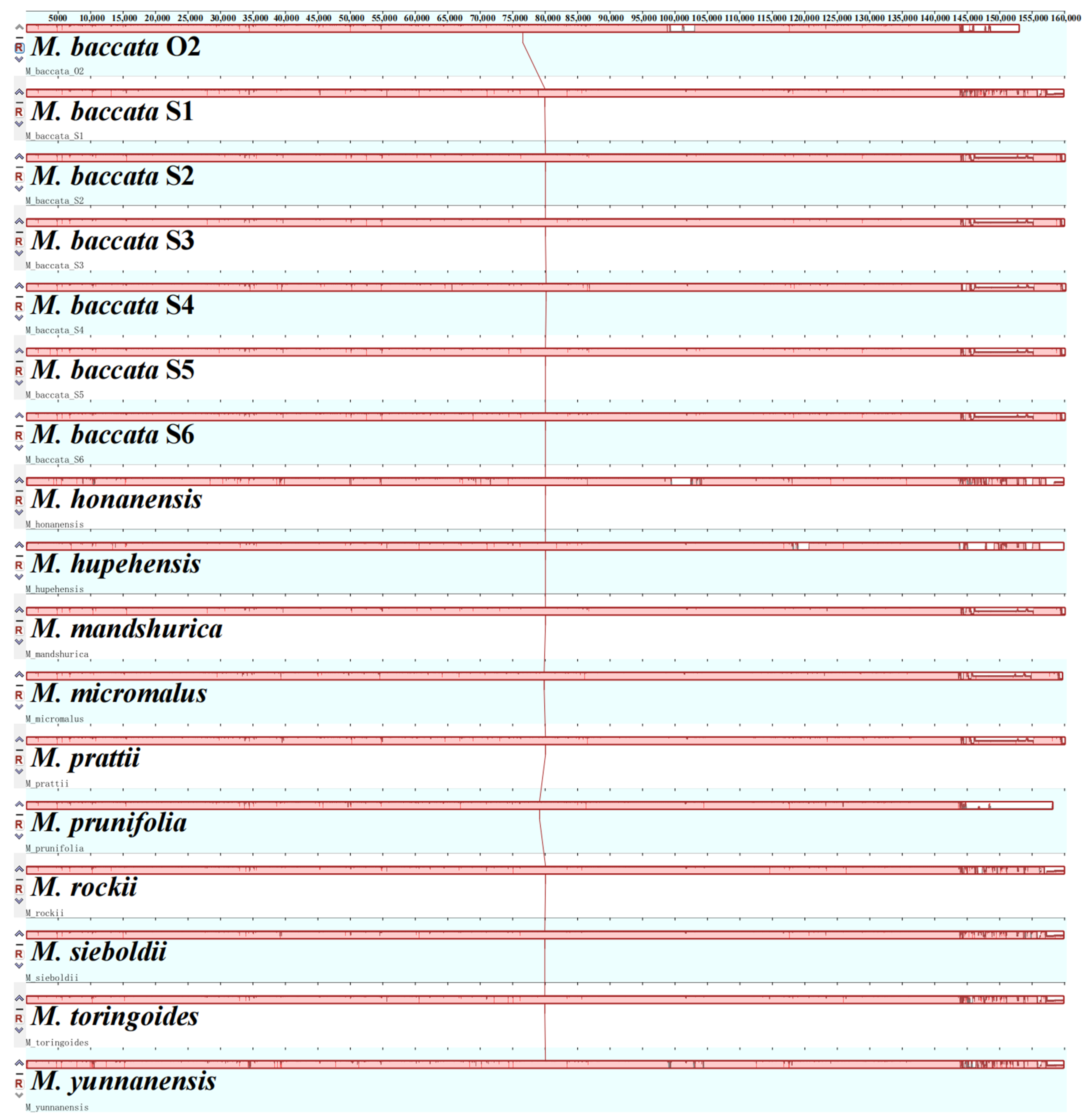 Biomolecules 13 00962 g001