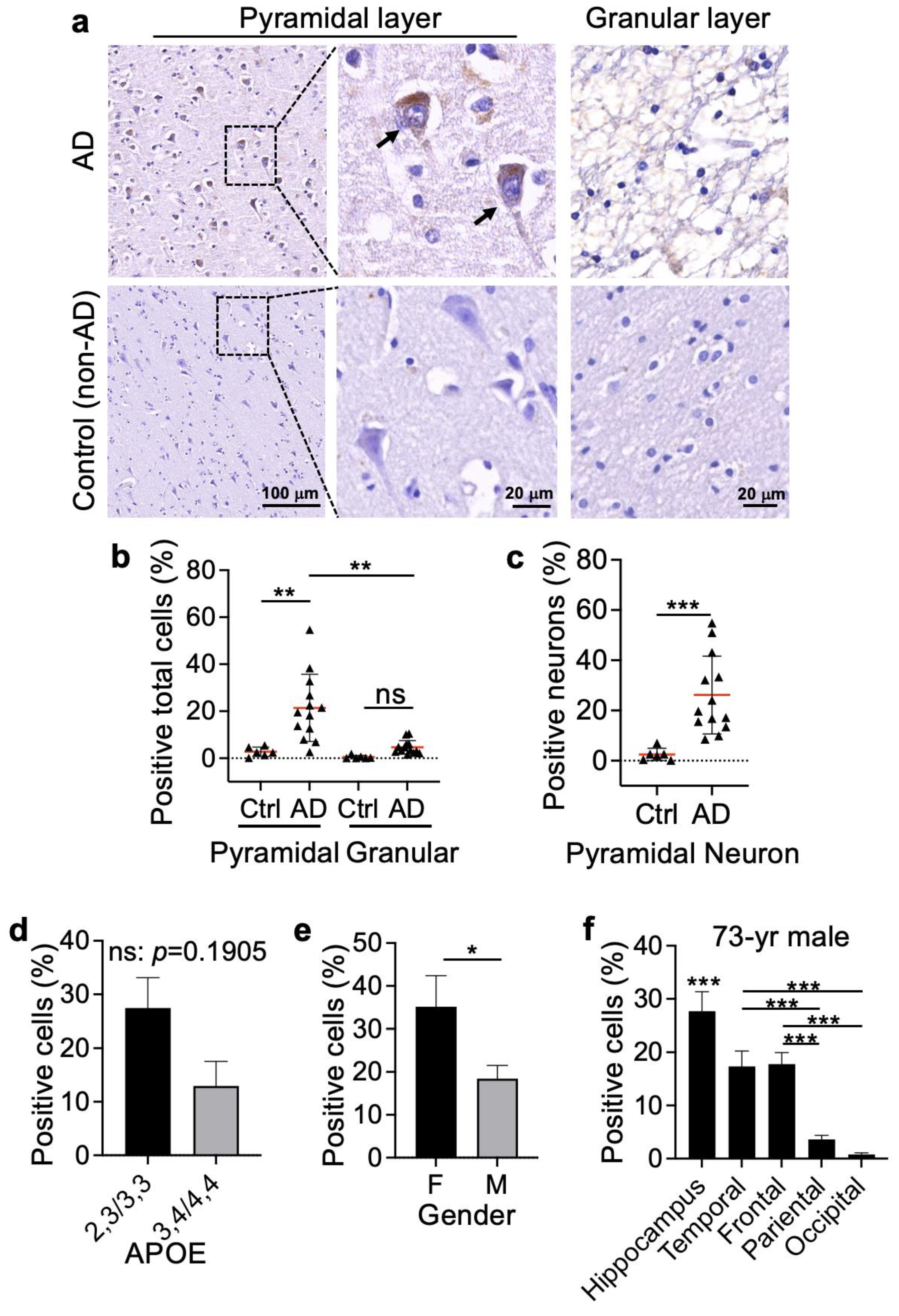 Biomolecules 13 00970 g003