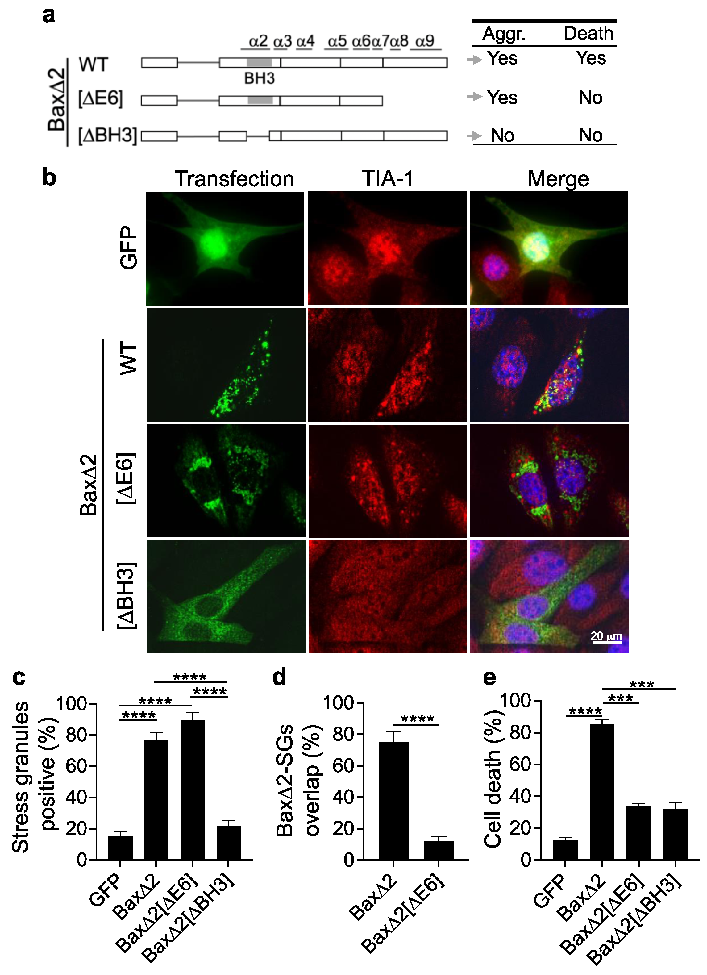 Biomolecules Free FullText Unconventional Source of Neurotoxic