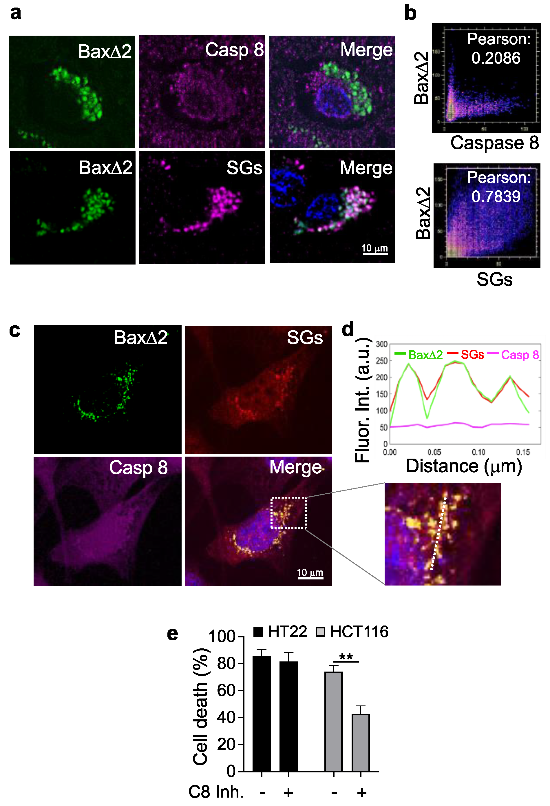 Biomolecules 13 00970 g007