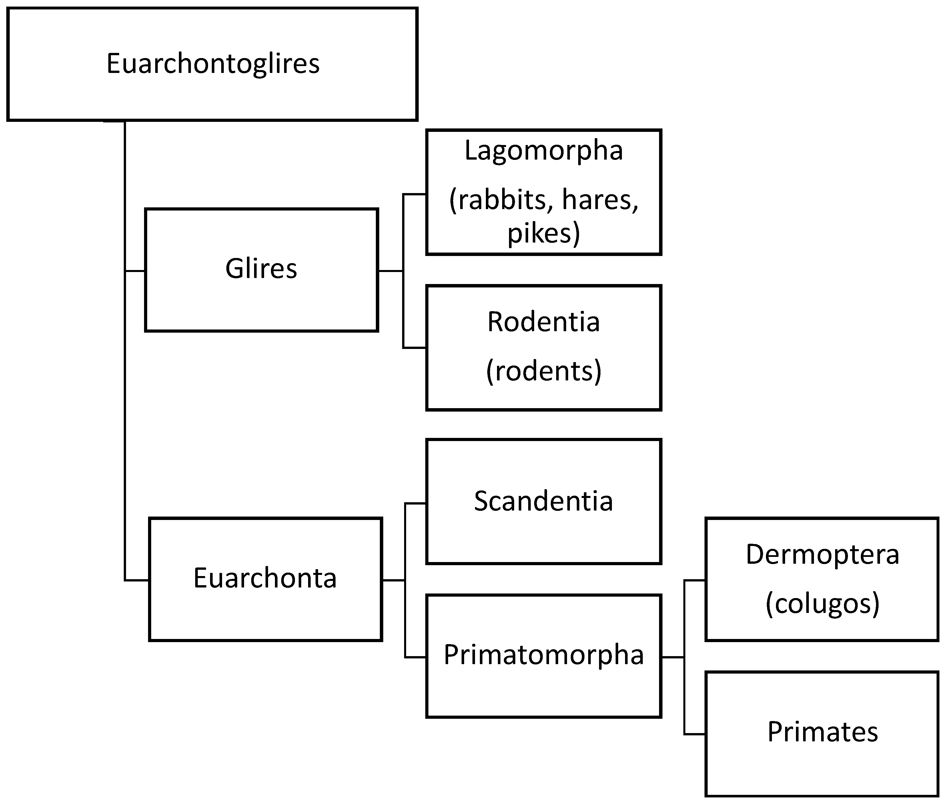 Biomolecules 13 00975 g002 550