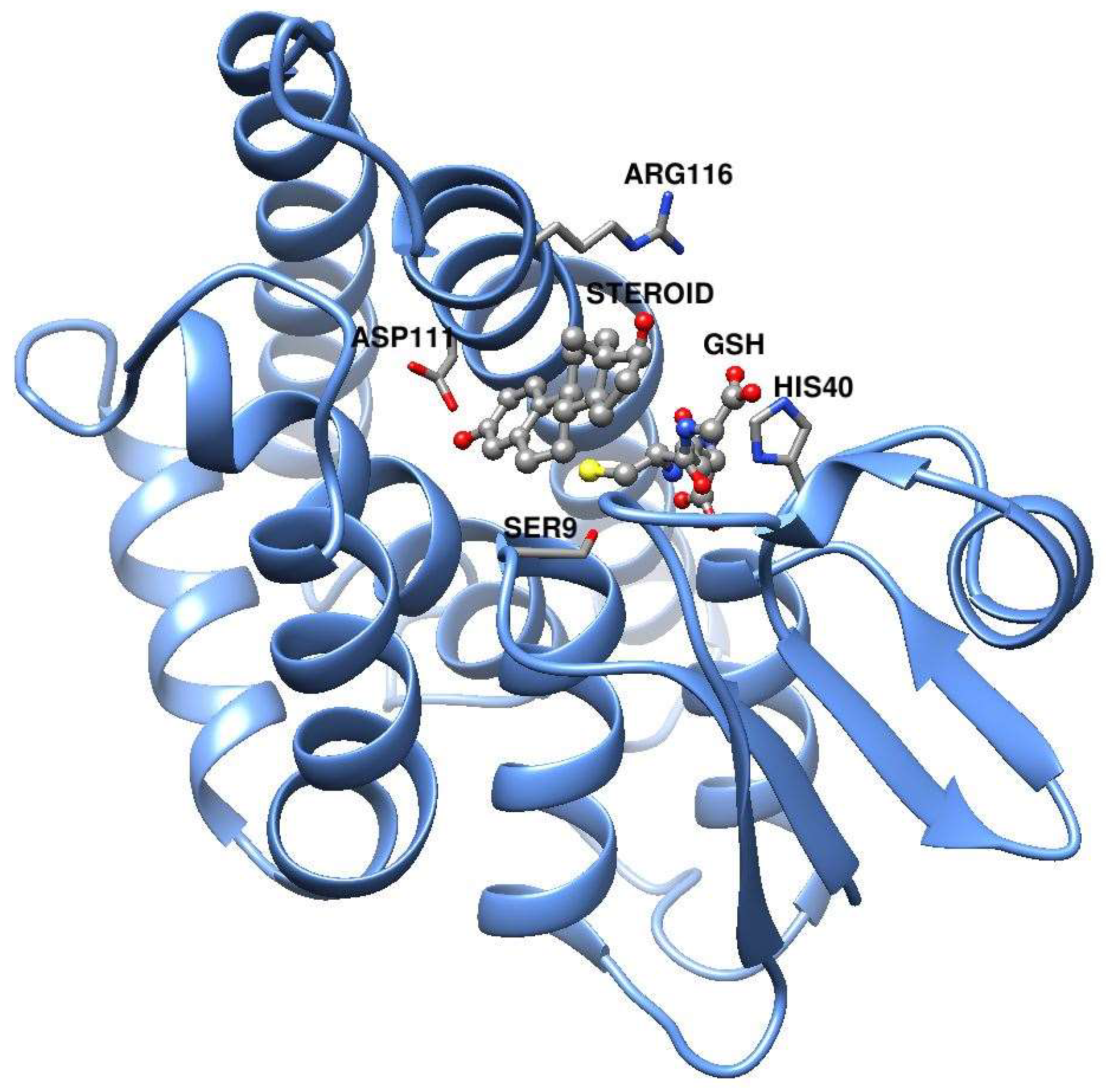 Biomolecules 13 00976 g001