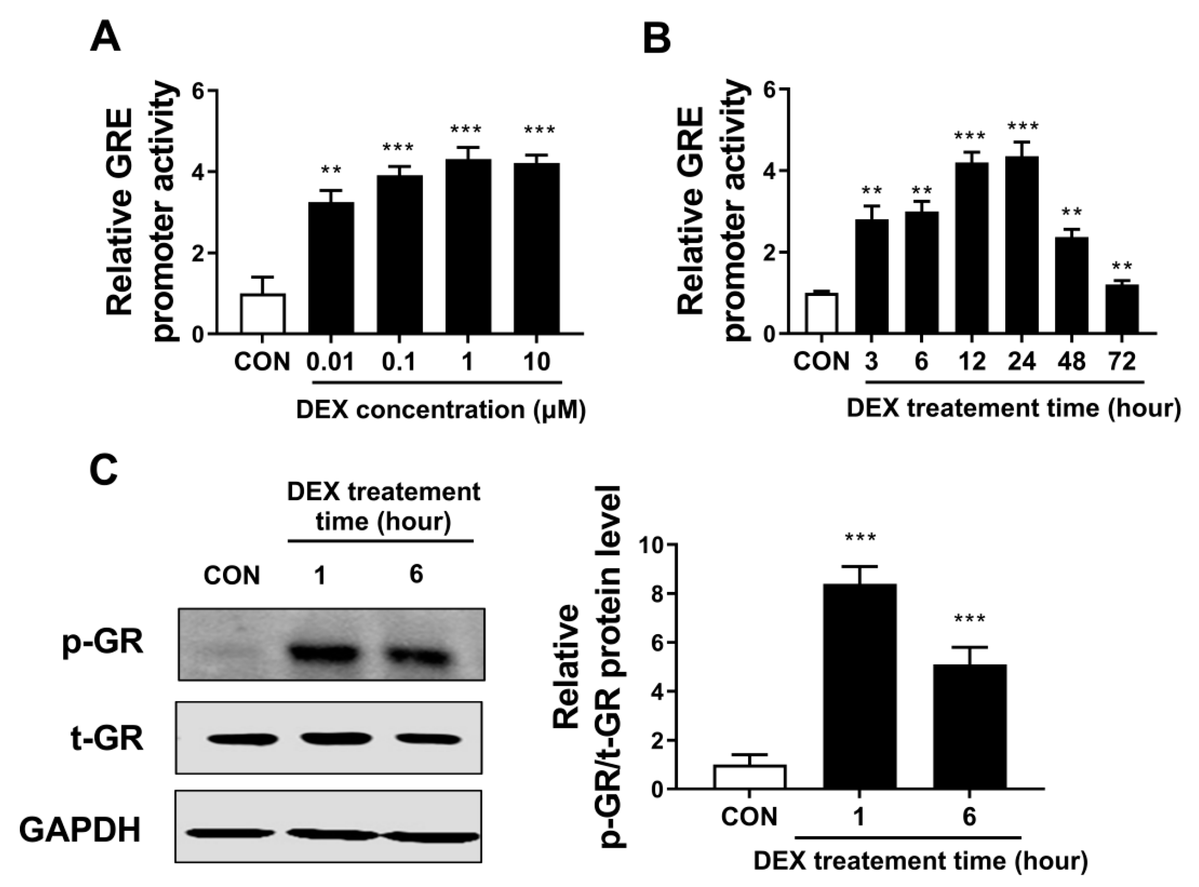 Biomolecules Free FullText Identification of Glucocorticoid Receptor Target Genes That
