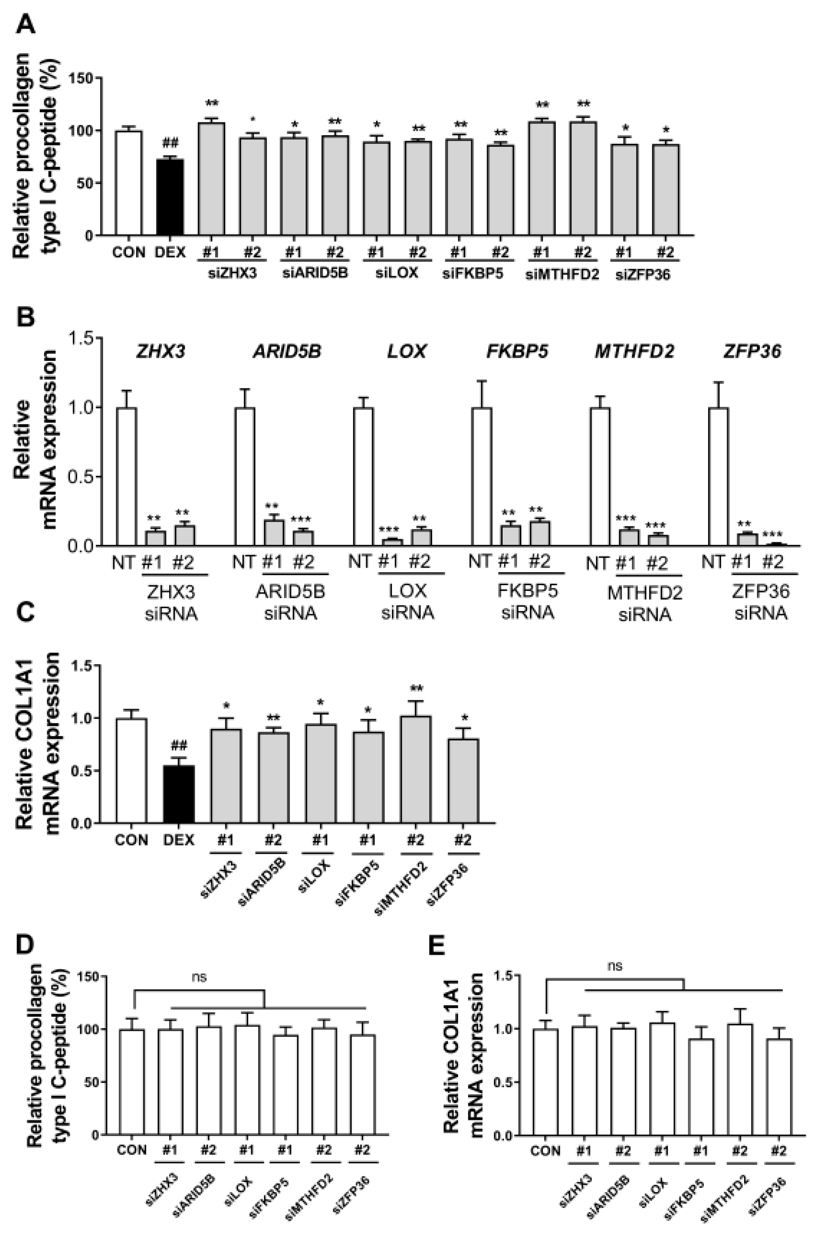 Biomolecules 13 00978 g004 Biomolecules 13 00978 g004