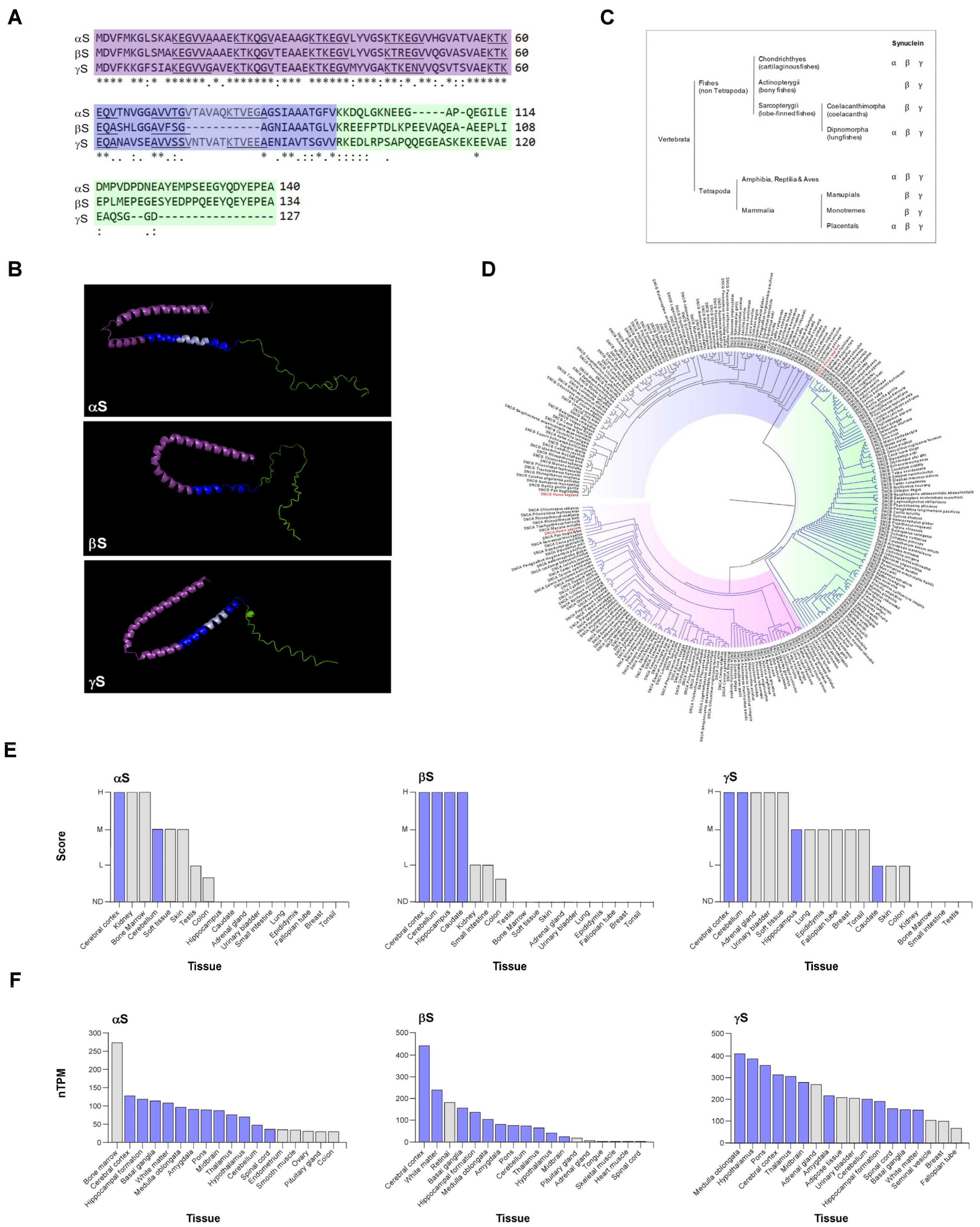 Biomolecules 13 00980 g001 Biomolecules 13 00980 g001