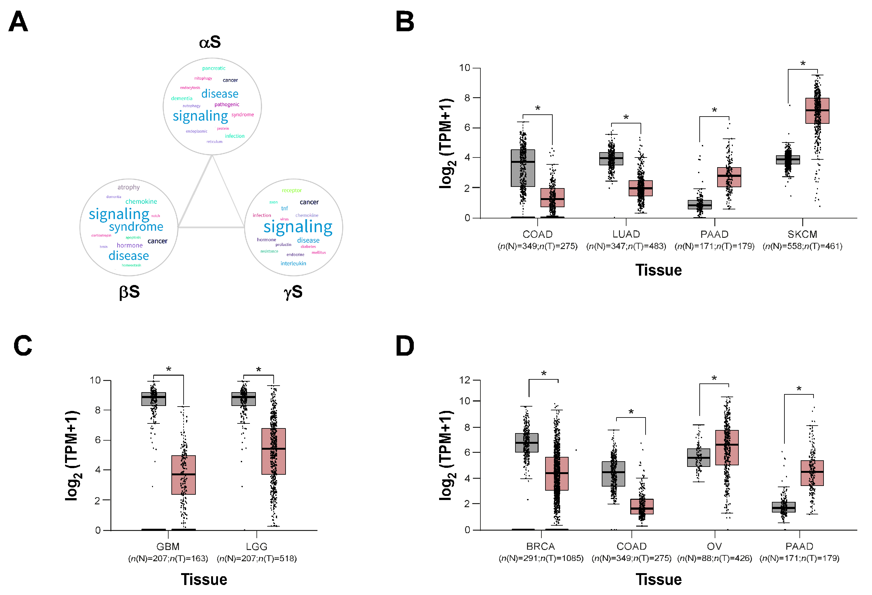 Biomolecules 13 00980 g002 Biomolecules 13 00980 g002