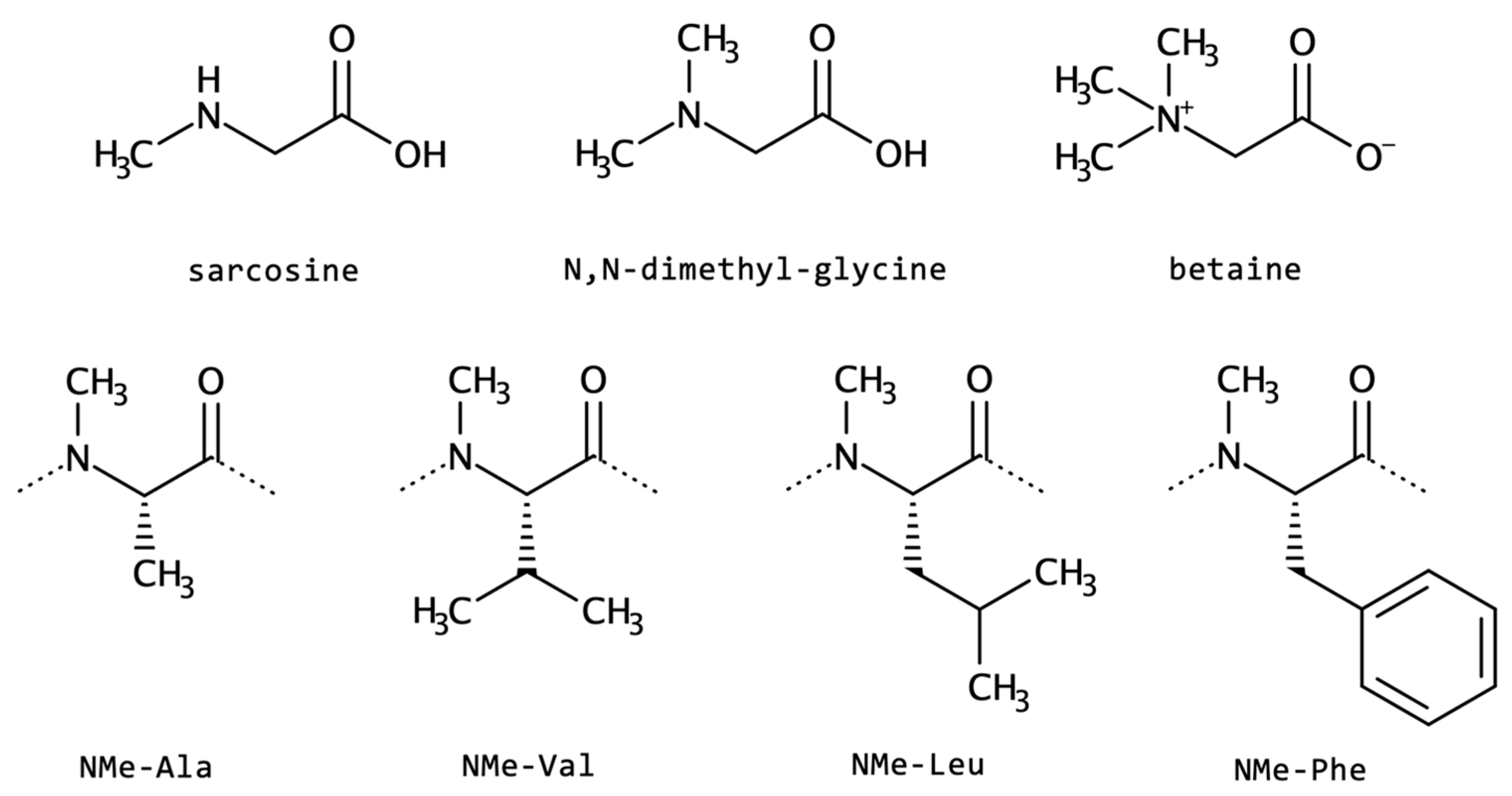 Biomolecules Free FullText NonCanonical Amino Acids as Building