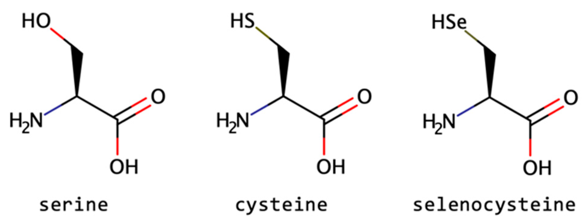 Biomolecules 13 00981 g012 Biomolecules 13 00981 g012