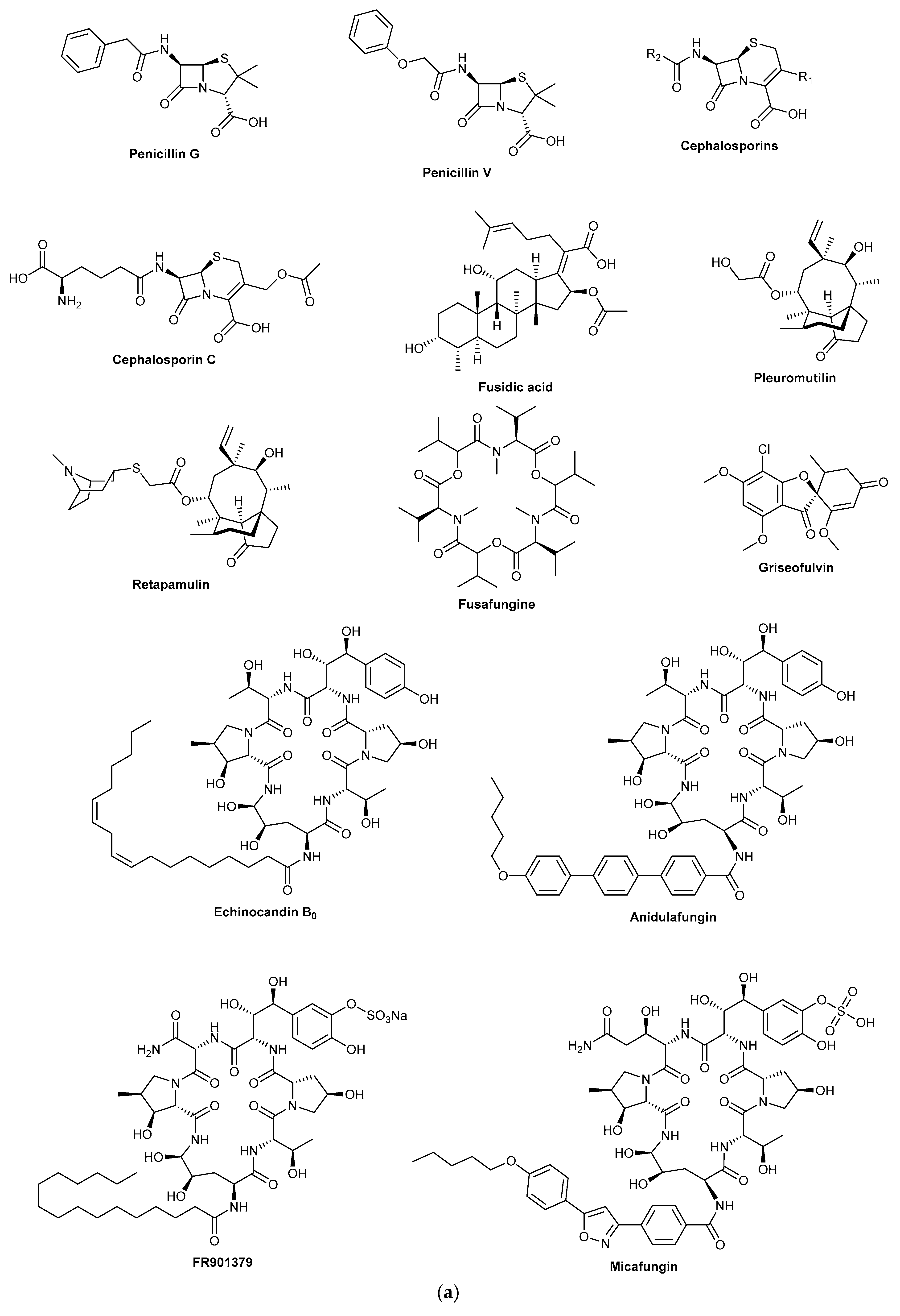 Fungal Drug Discovery for Chronic Disease: History, New Fungal Drug Discovery for Chronic Disease: History, New
