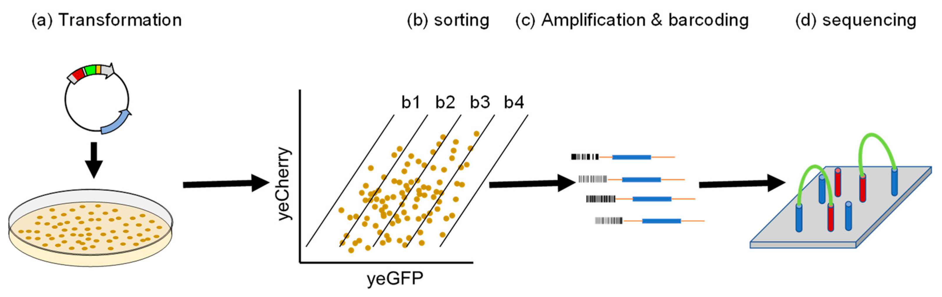 Biomolecules 13 00987 g002