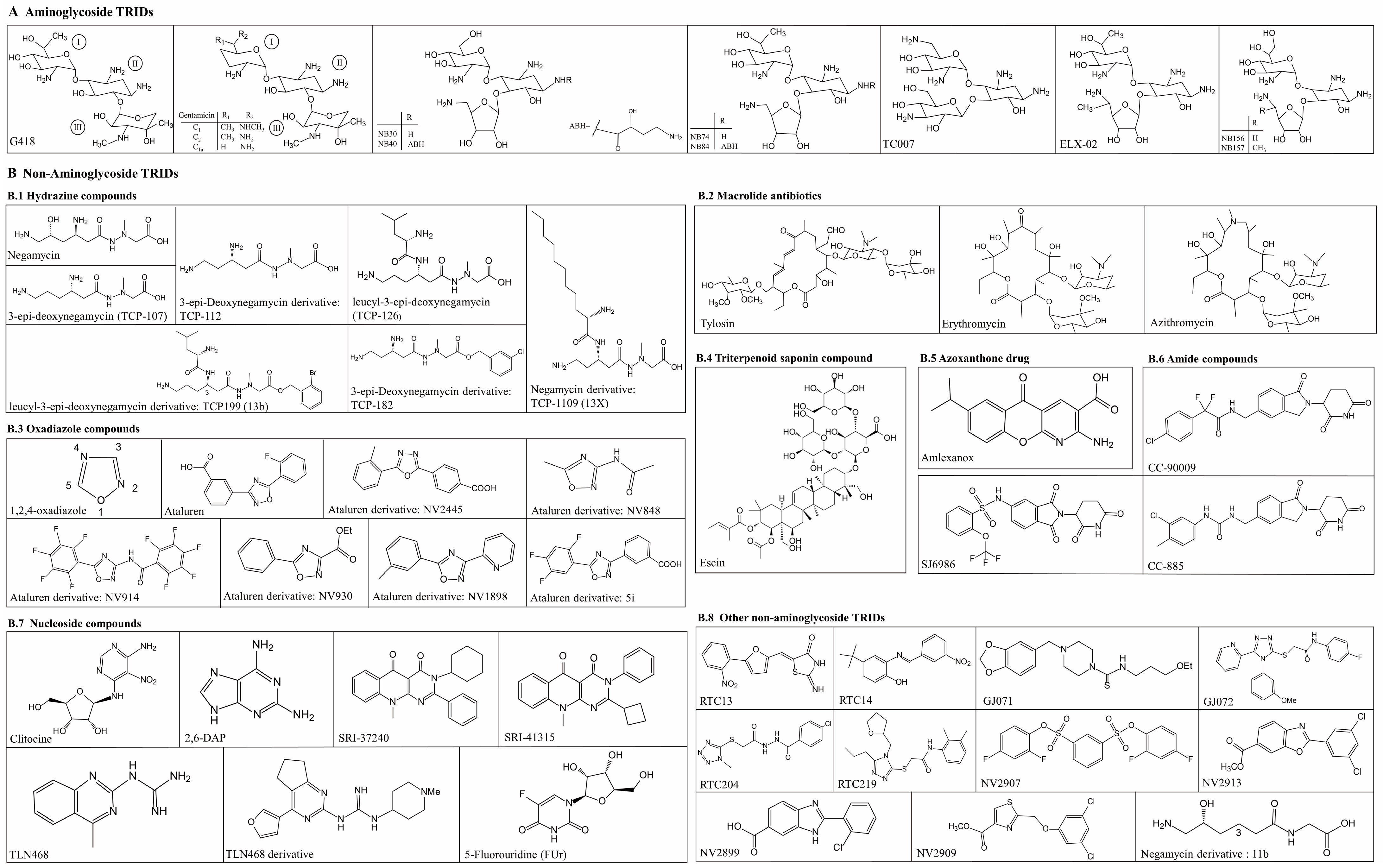 Biomolecules 13 00988 g001 Biomolecules 13 00988 g001