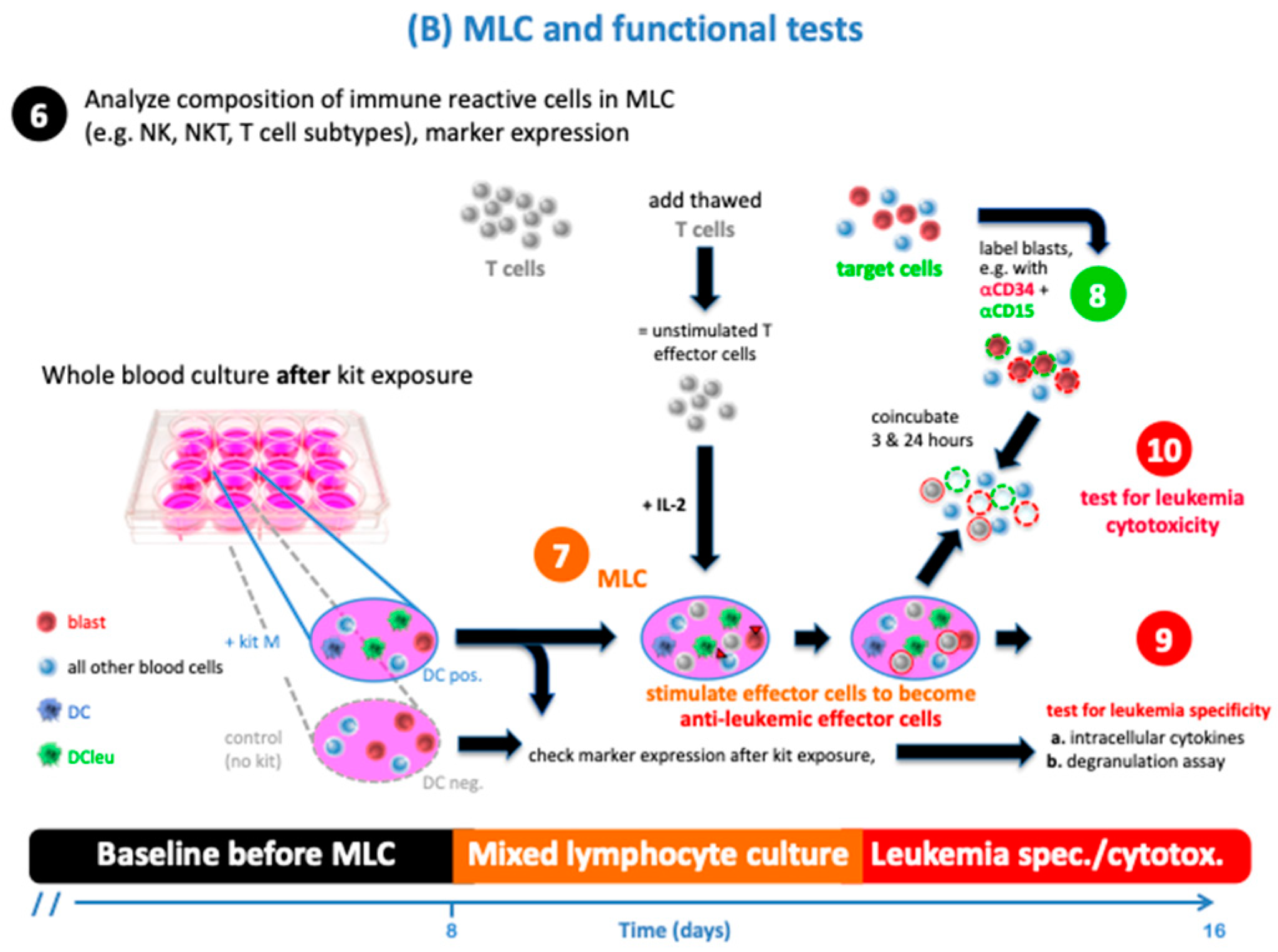 Biomolecules 13 00989 sch001b Biomolecules 13 00989 sch001b