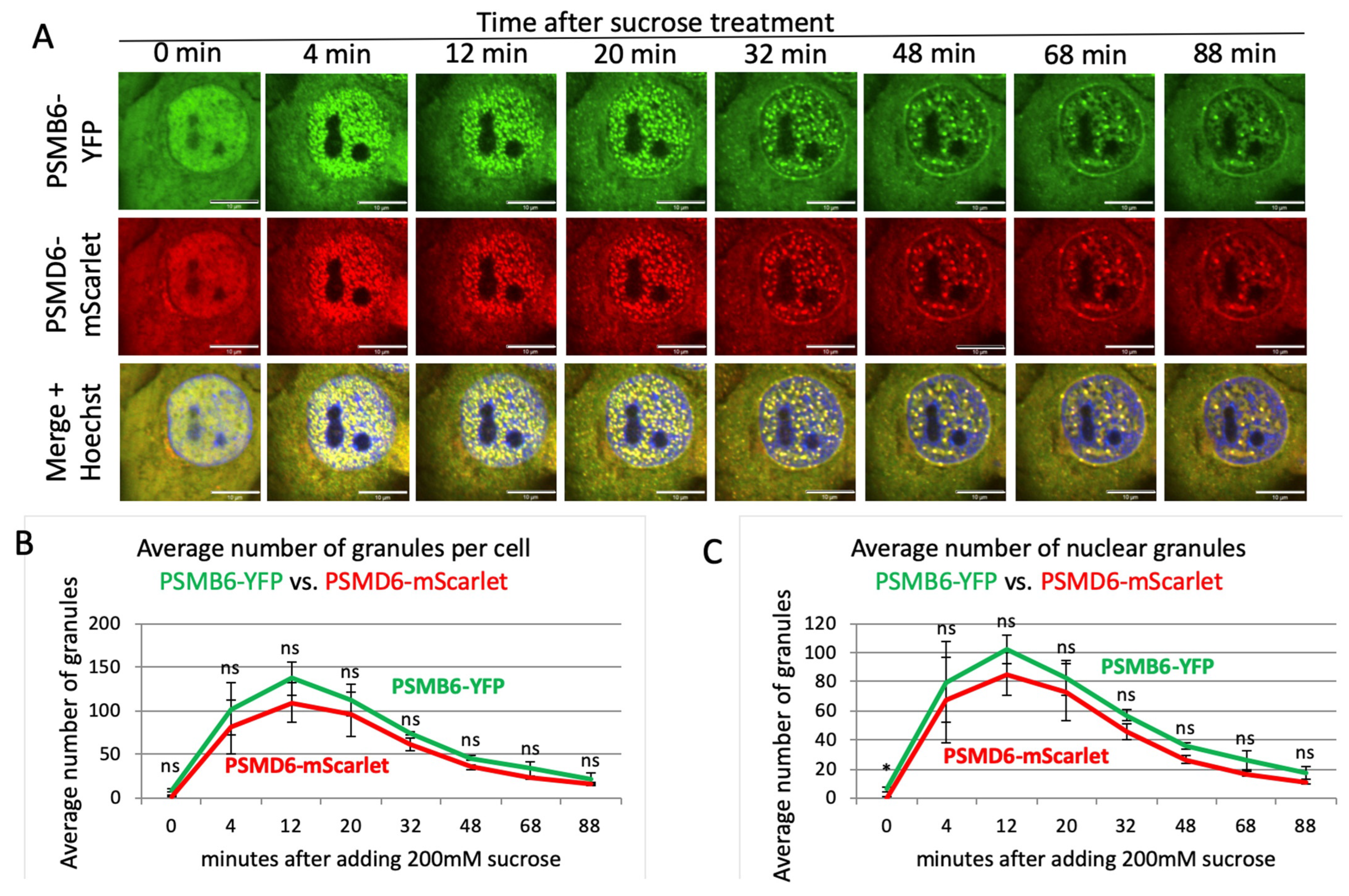 Biomolecules 13 00992 g003 Biomolecules 13 00992 g003